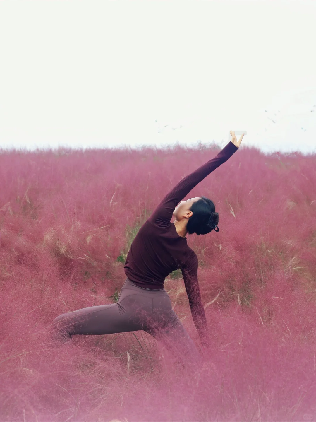 秋日户外瑜伽｜粉紫色的浪漫