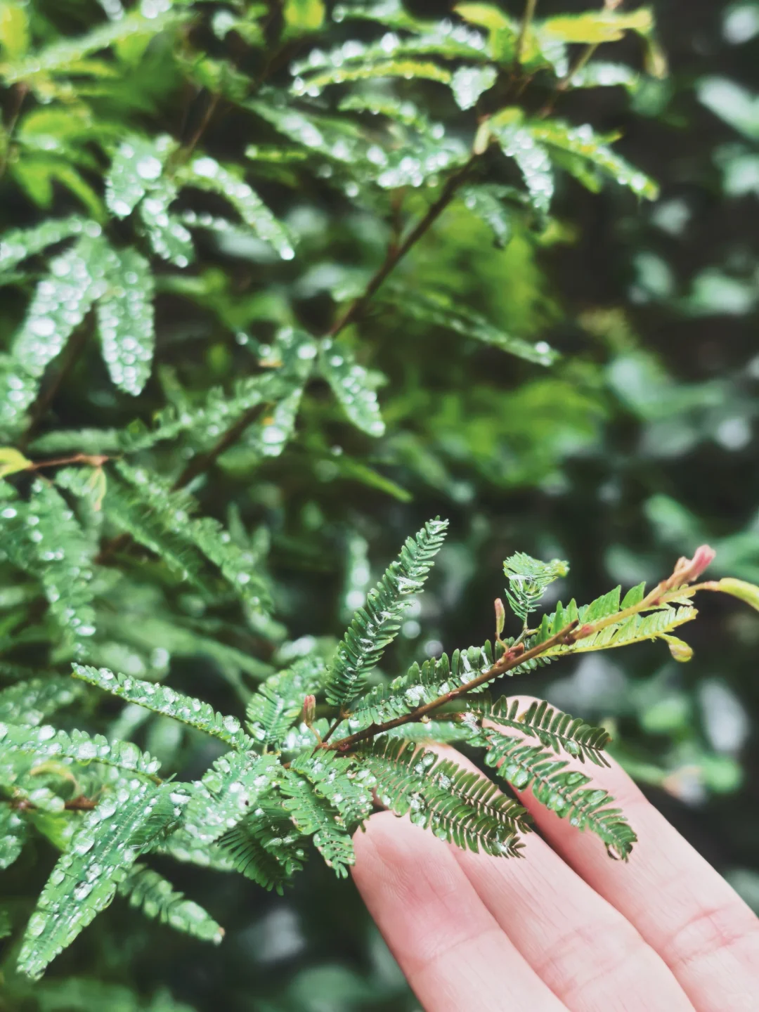 瑜伽日记 | Day 4🌱