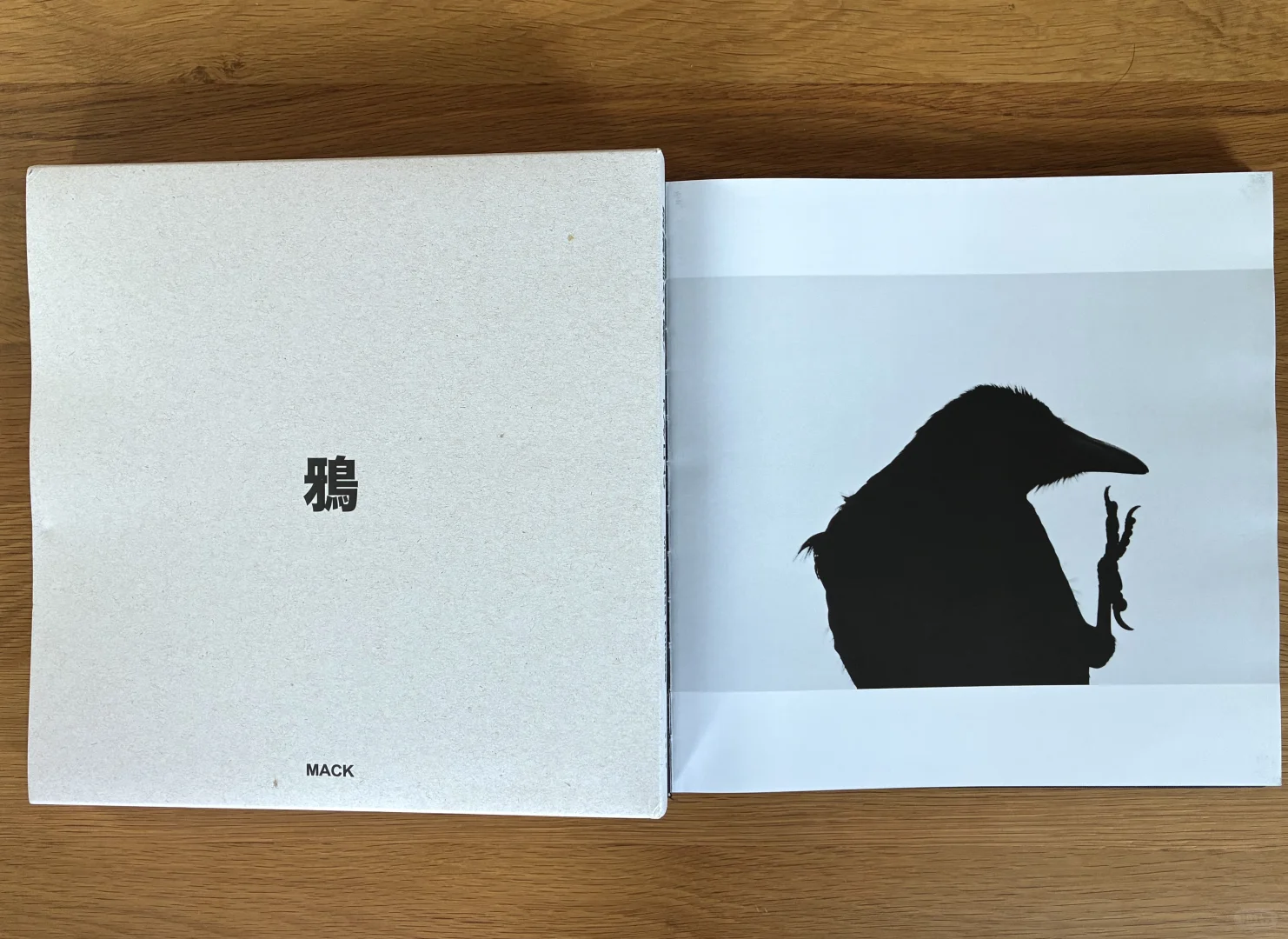 深濑昌久《鸦》