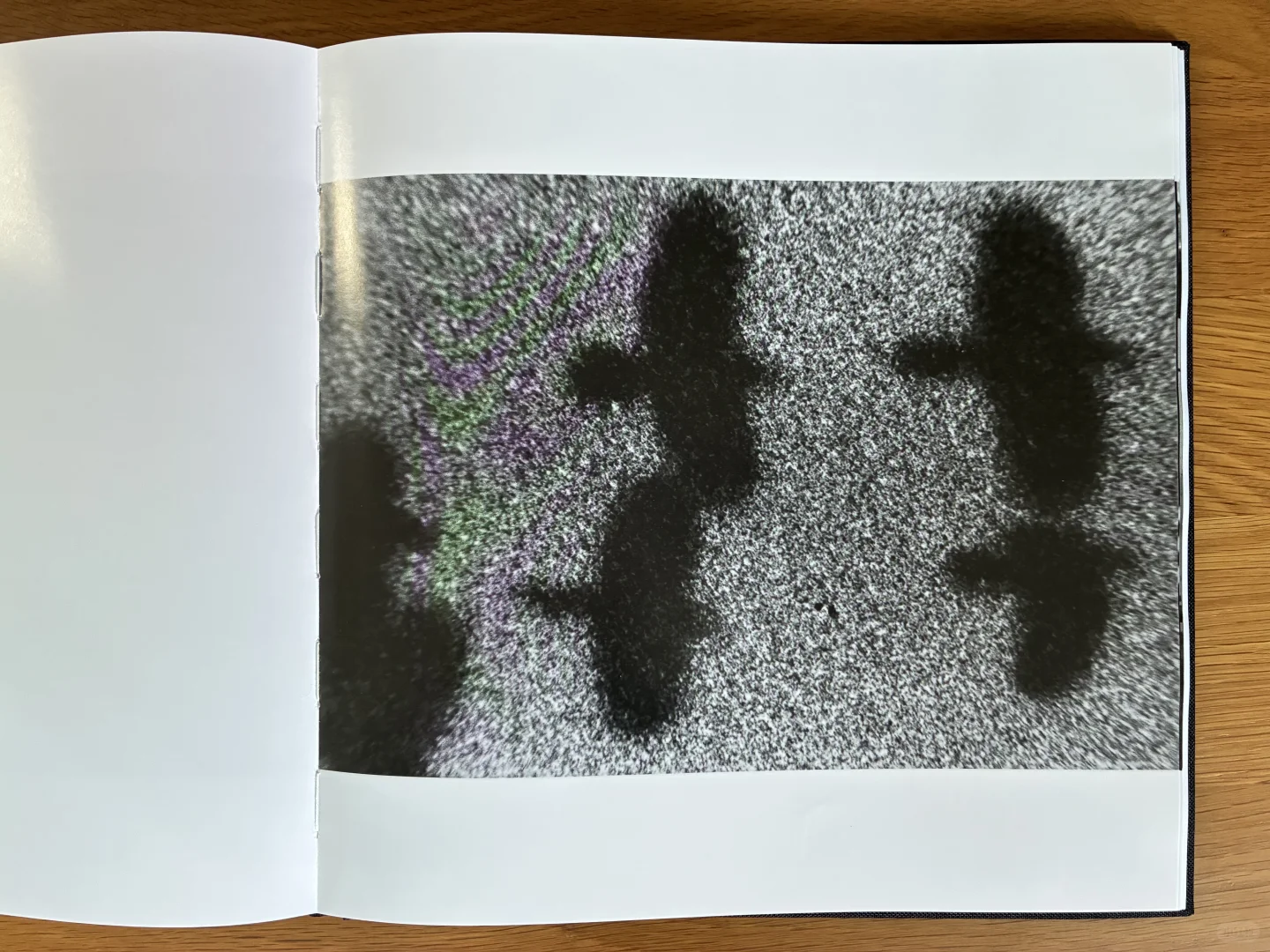 深濑昌久《鸦》