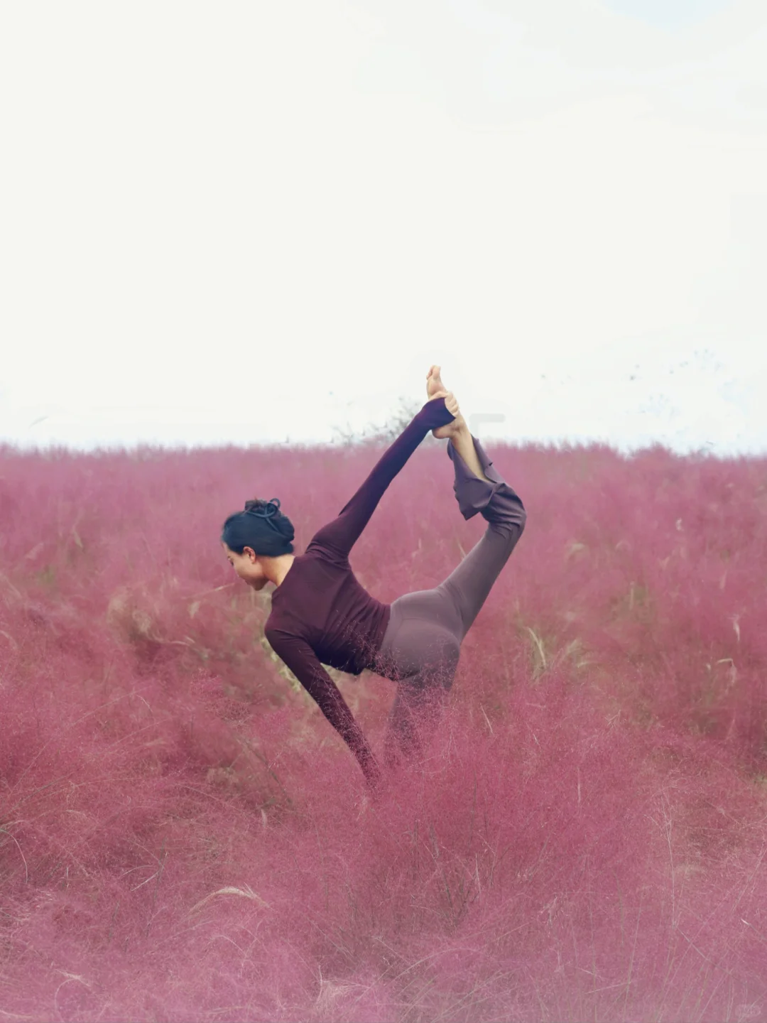 秋日户外瑜伽｜粉紫色的浪漫