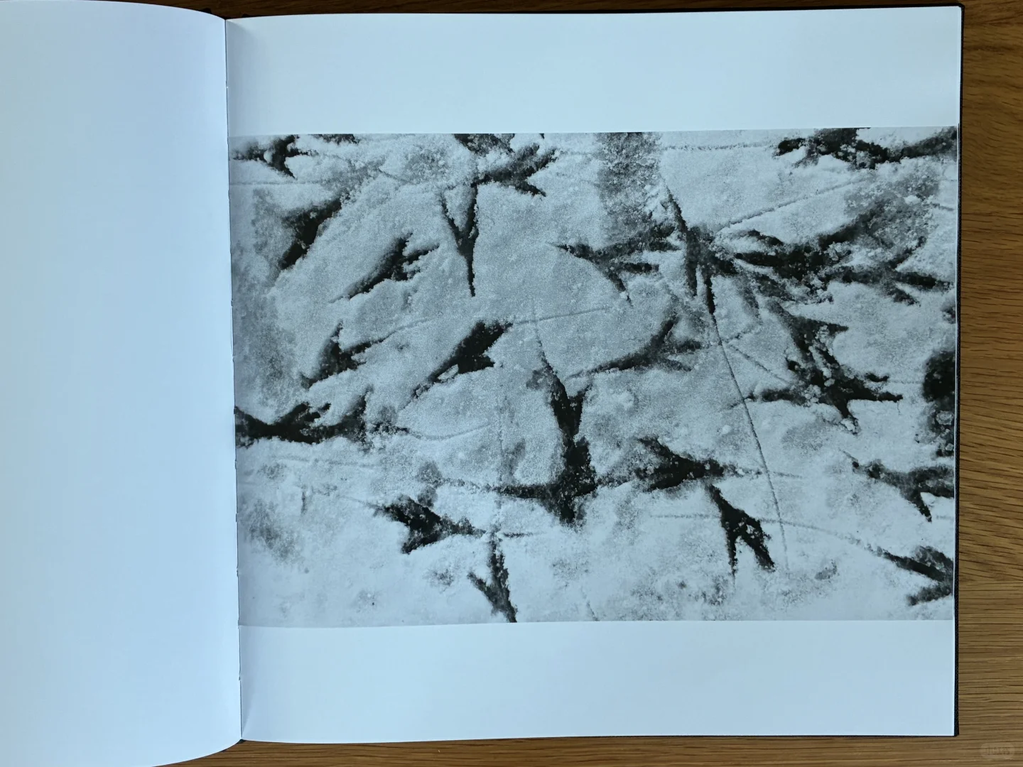 深濑昌久《鸦》