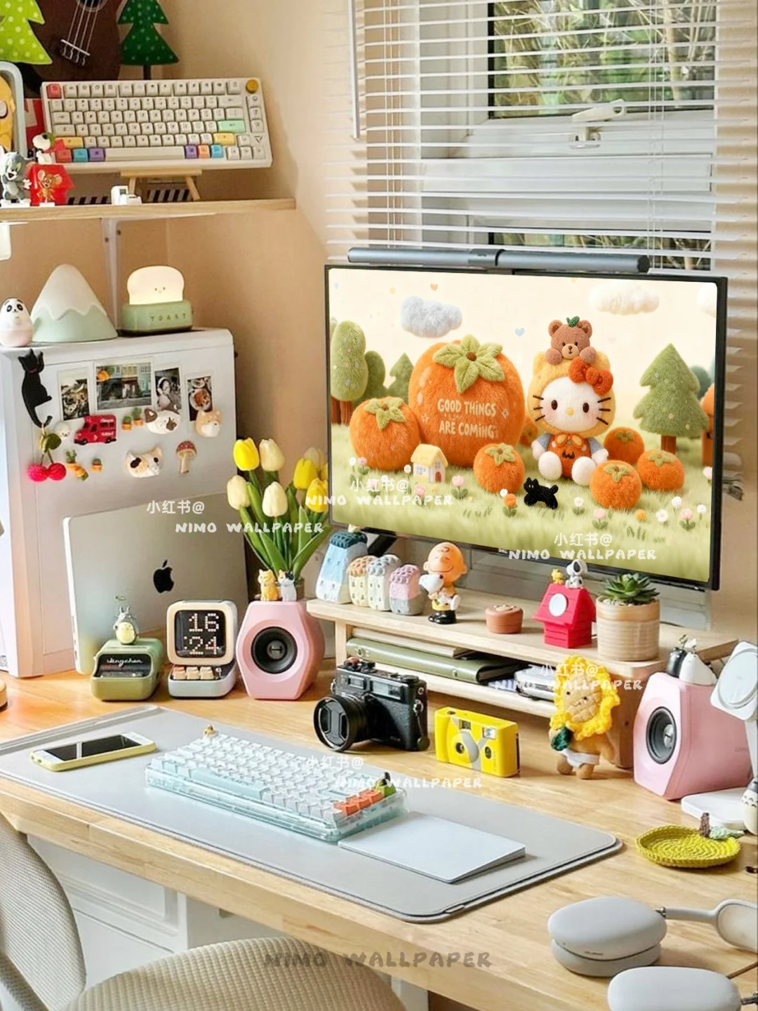 Kitty 🍅 柿柿如意丨毛绒版电脑壁纸丨263