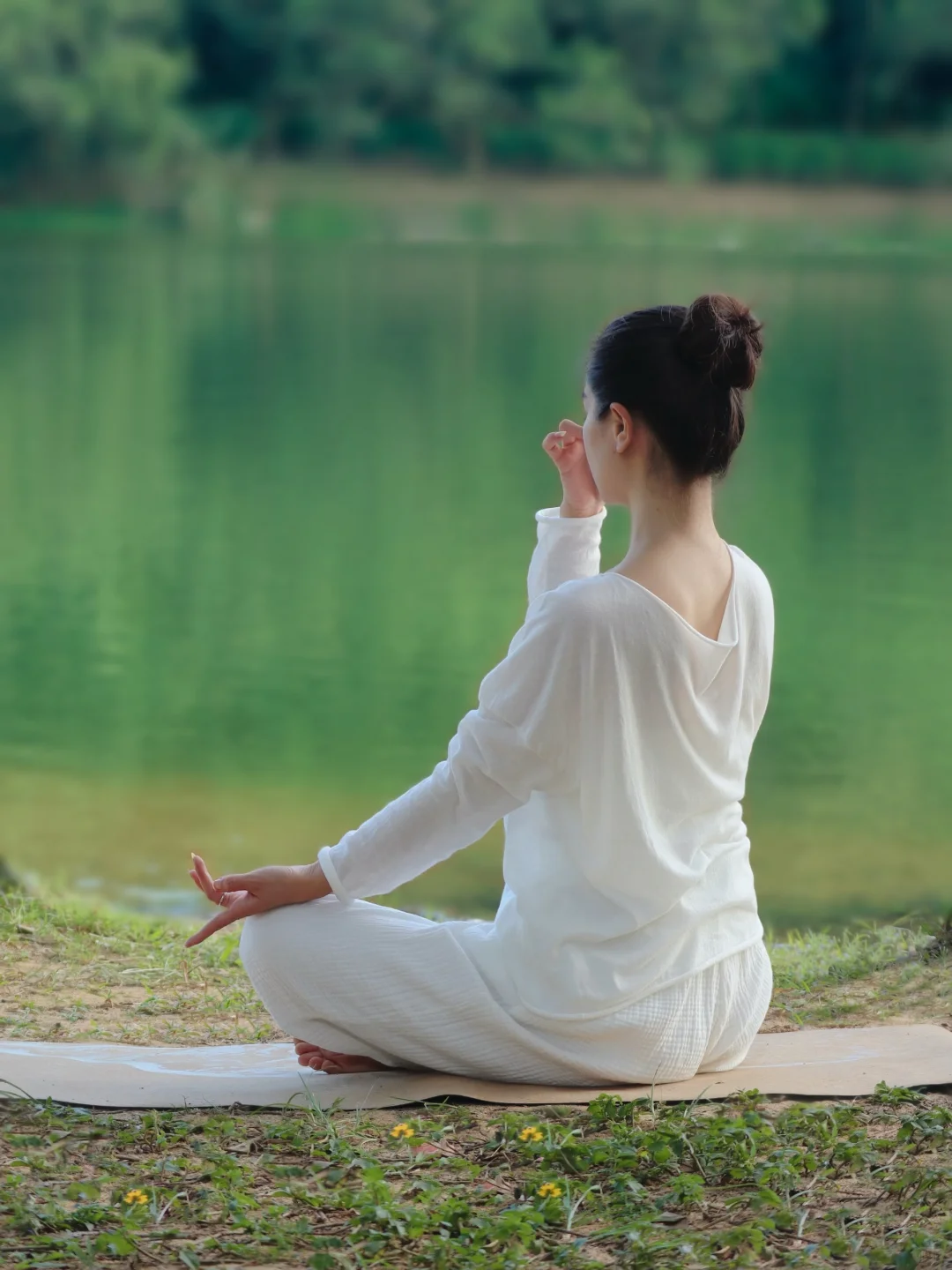｜静坐时与天地共鸣｜舒展时与草木同频