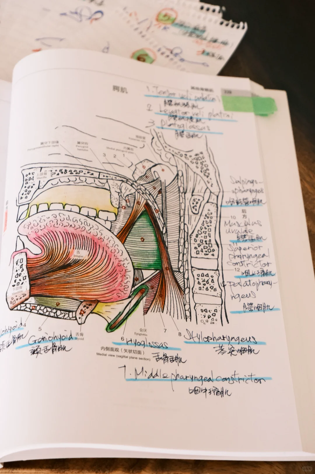 沉下心来，才能走的更远