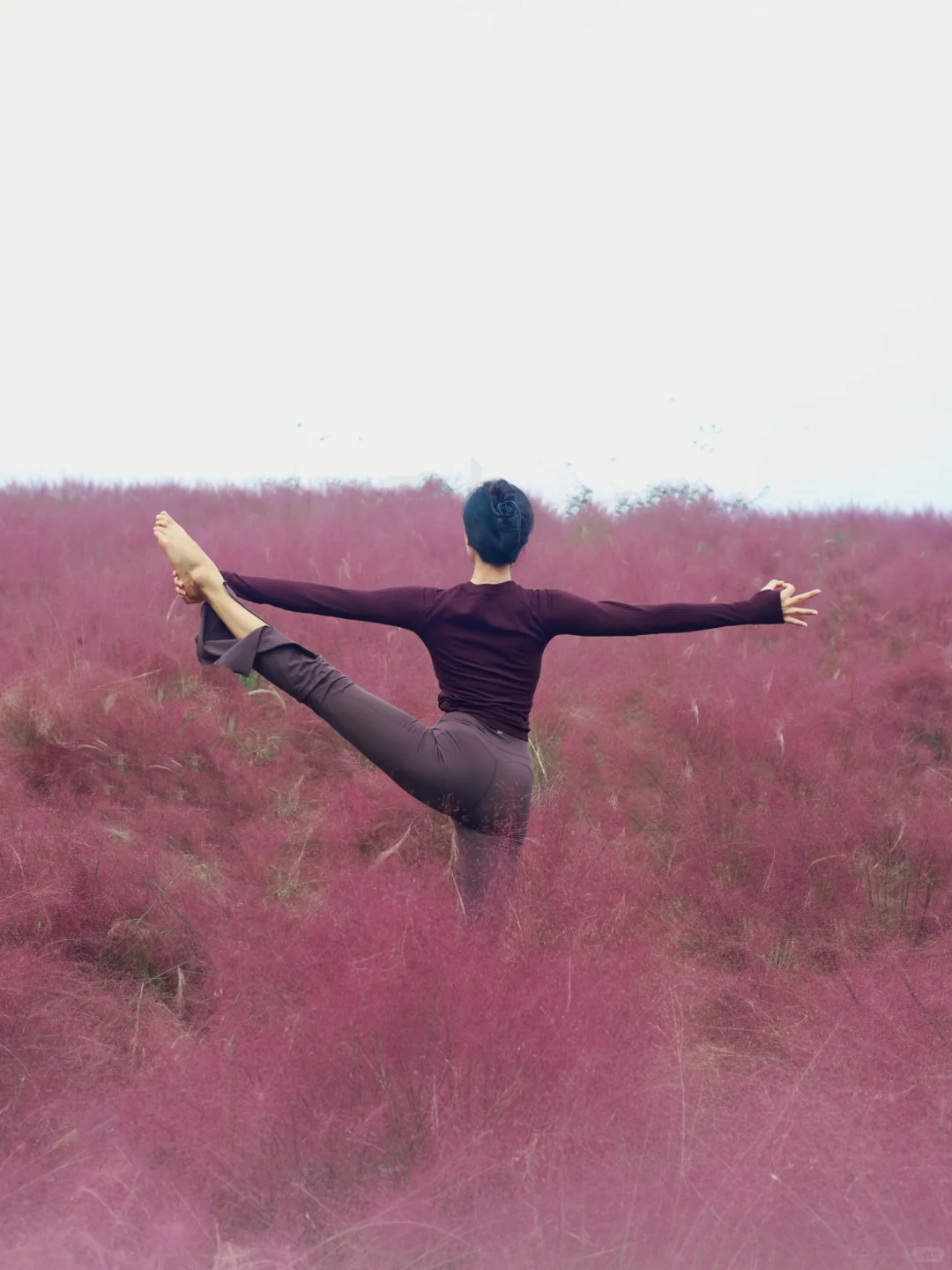 秋日户外瑜伽｜粉紫色的浪漫