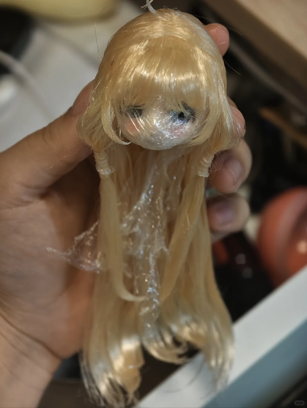 小小小叽的诞生..