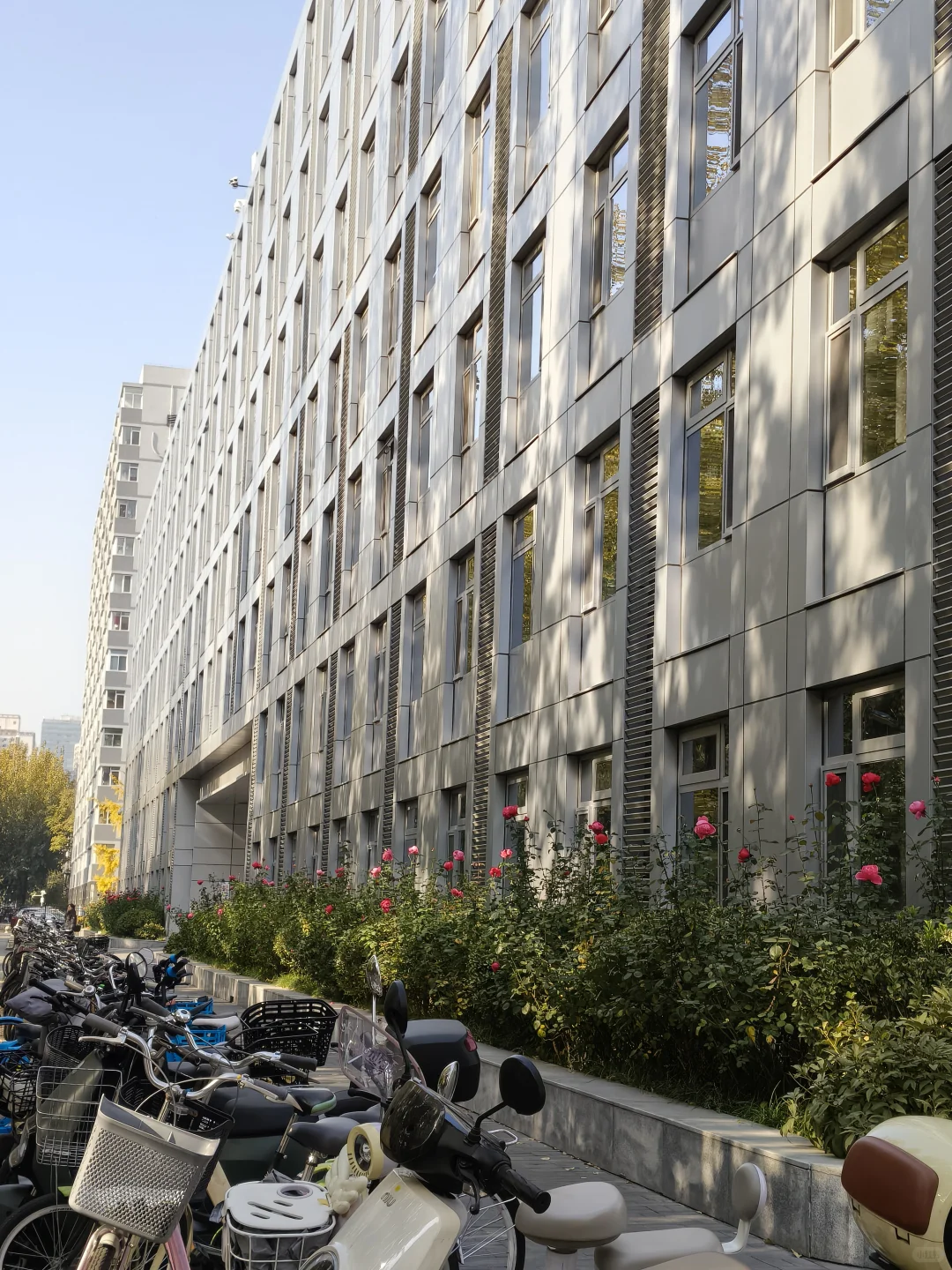 回头看，得到的和失去的一样多