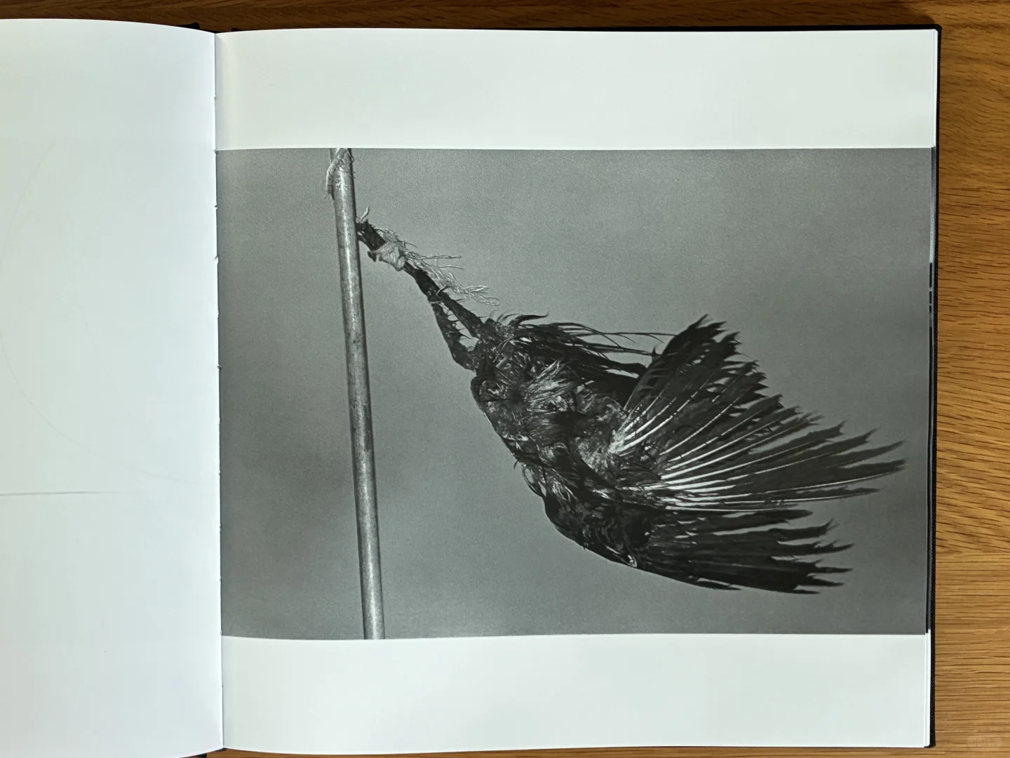 深濑昌久《鸦》