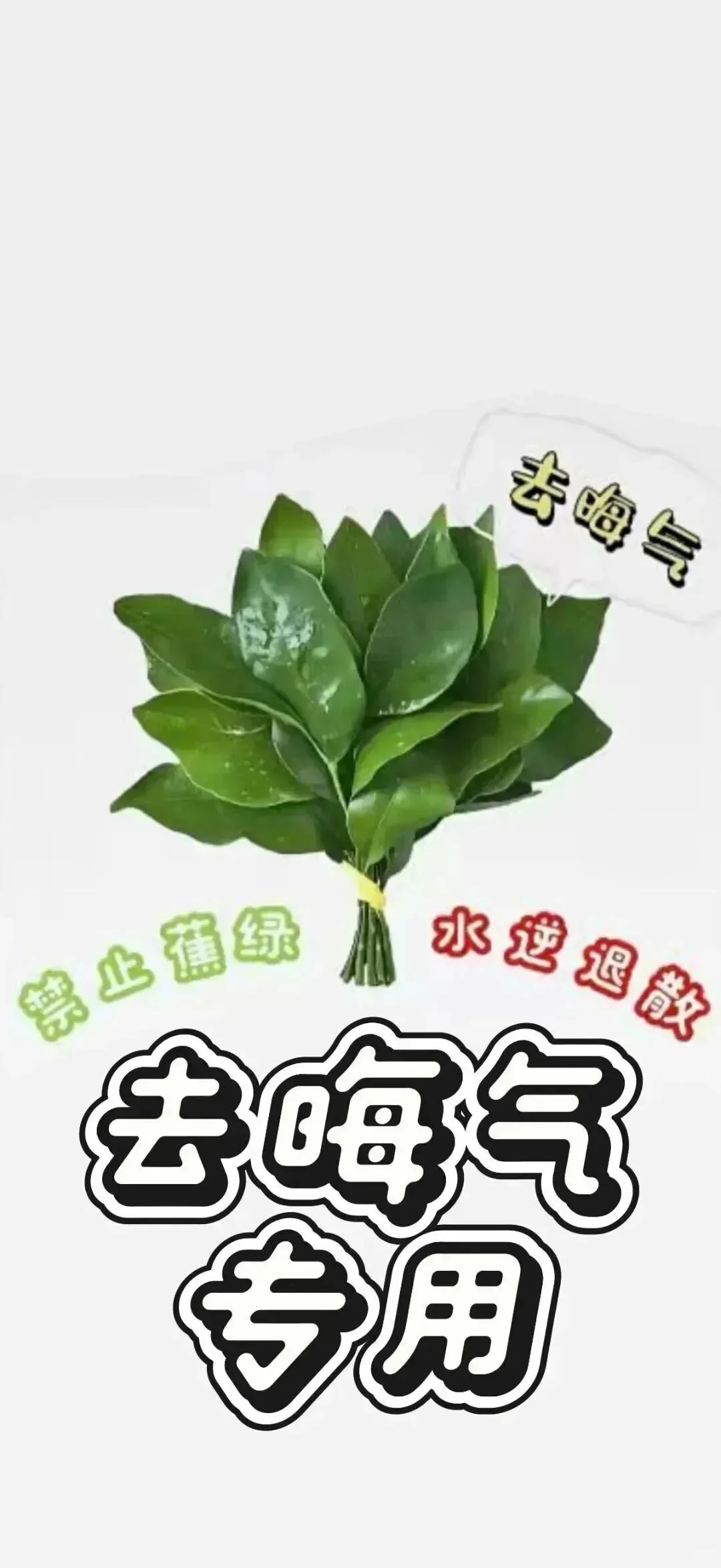 Share丨柚子叶高清手机壁纸