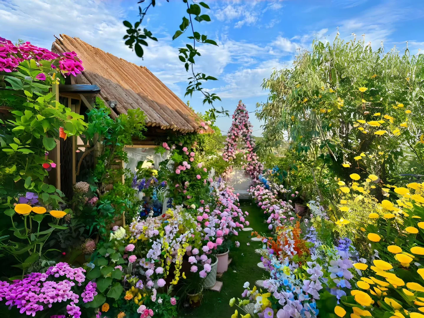 170｜清透治愈系iPad 壁纸