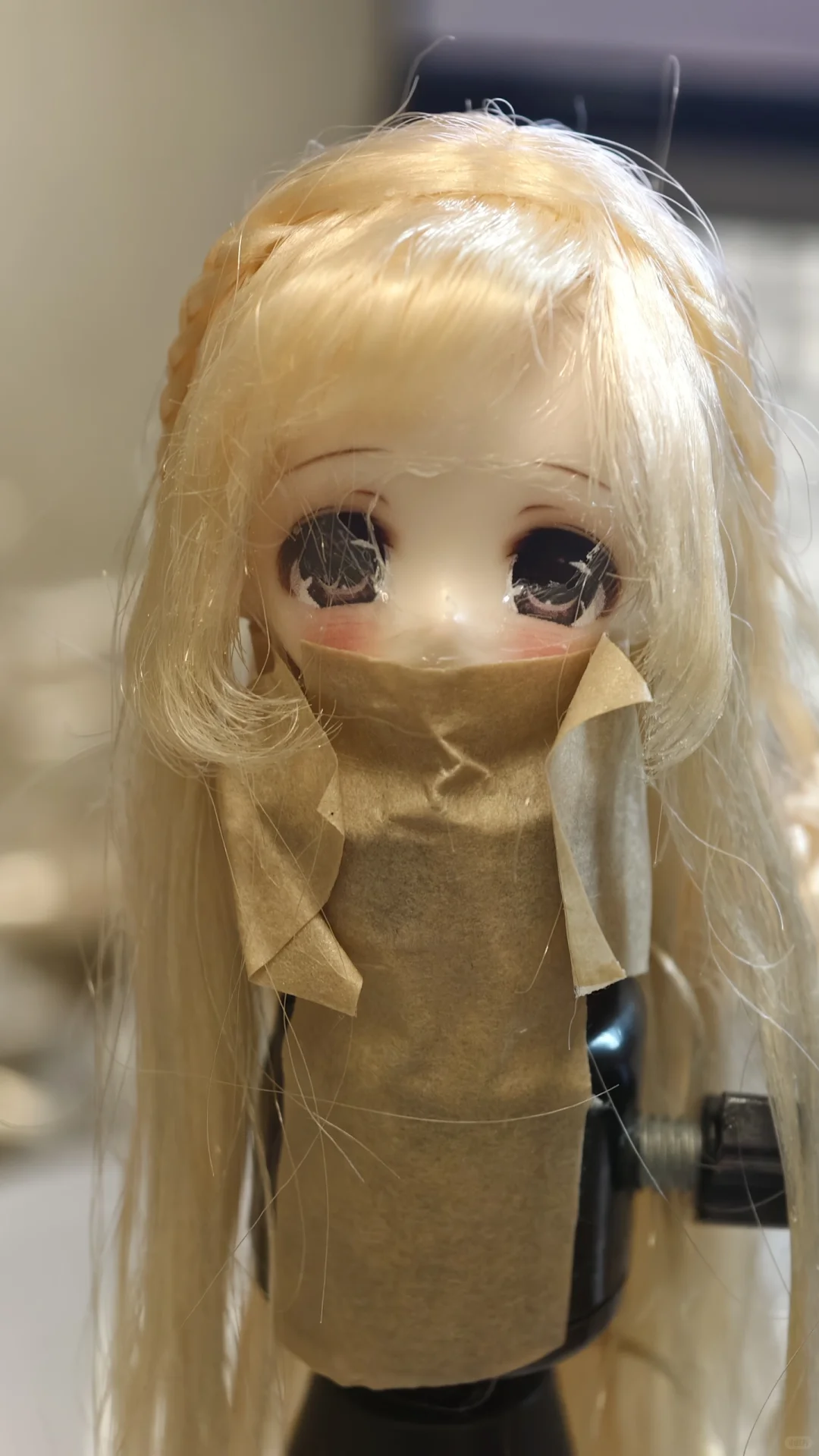 小小小叽的诞生..