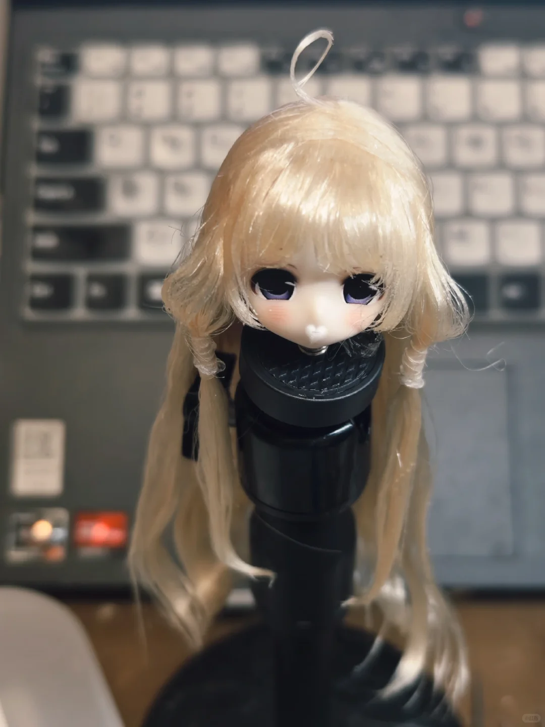 小小小叽的诞生..