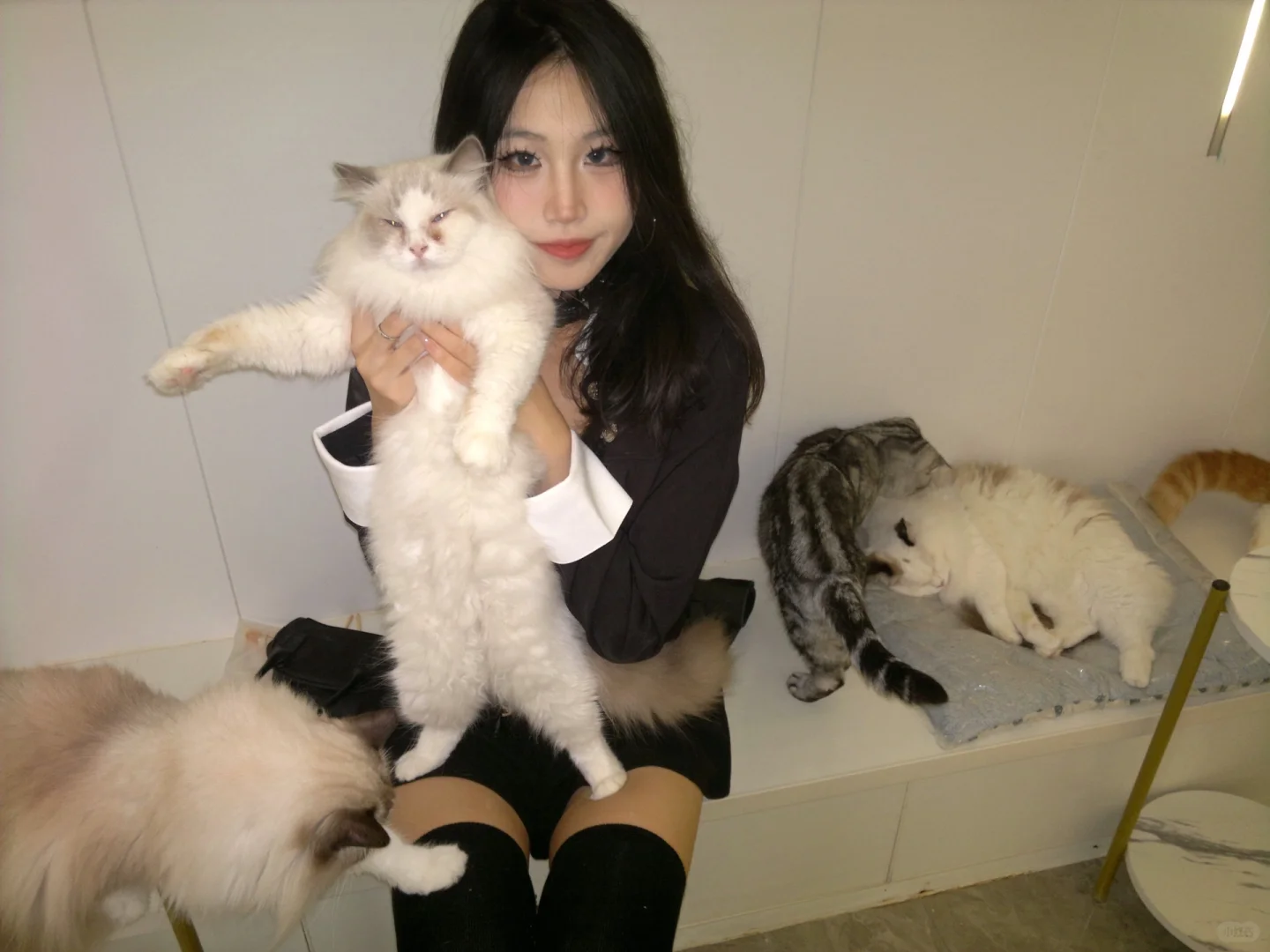 过膝袜yyds 没人反驳吧