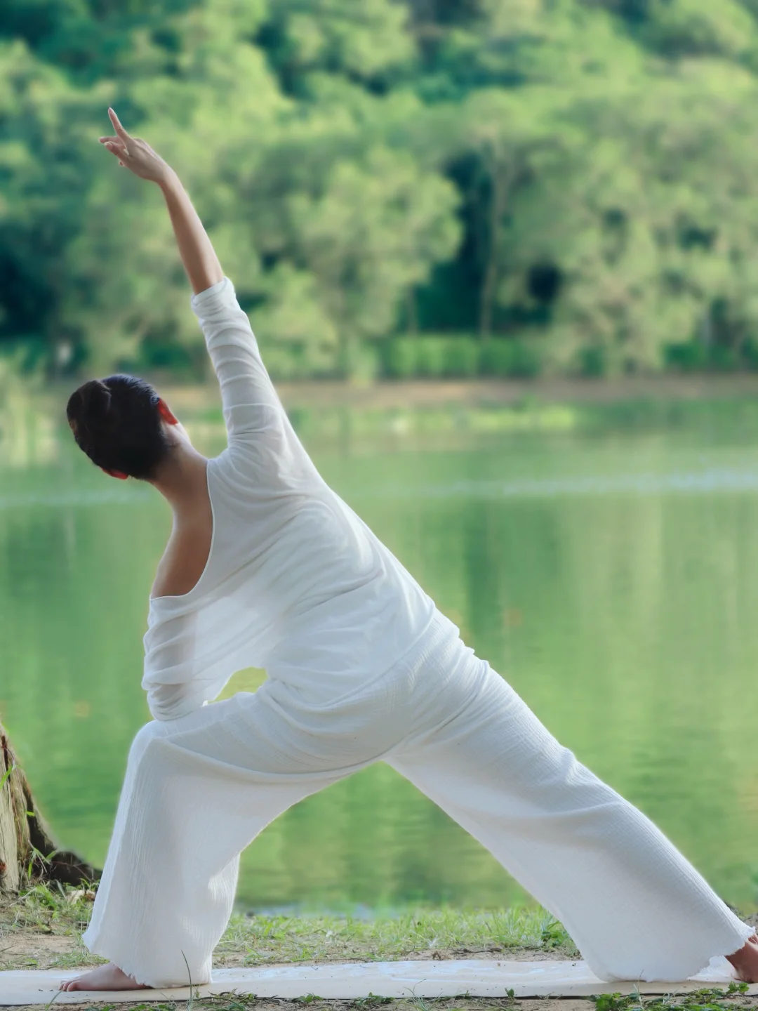 ｜静坐时与天地共鸣｜舒展时与草木同频