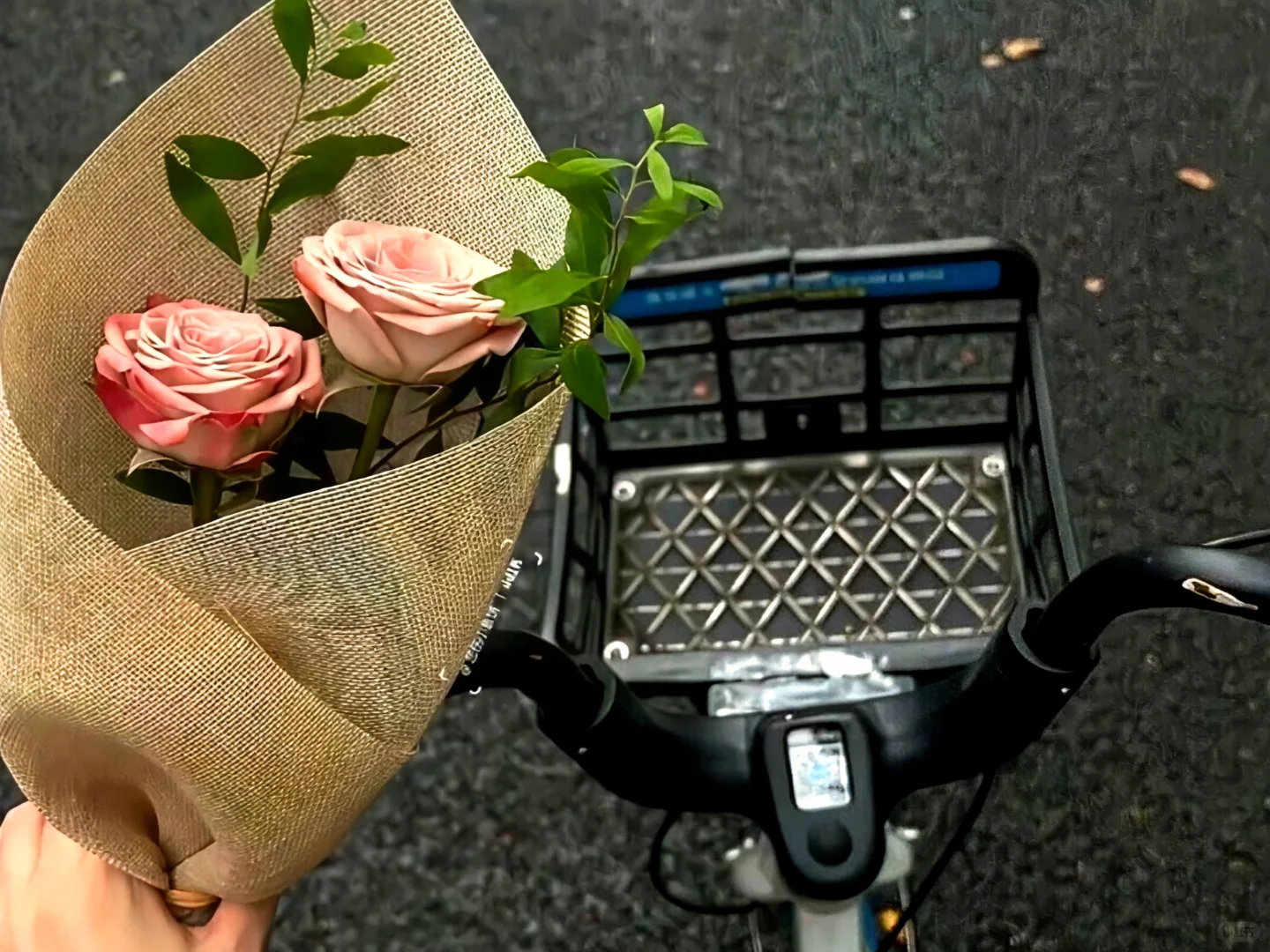 iPad·电脑壁纸｜🧣今天也要开心哦