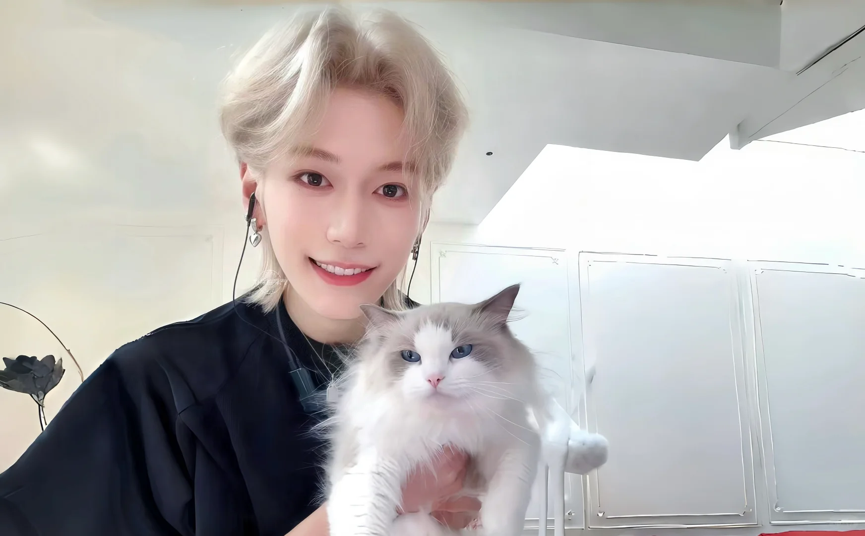 一些电脑尺寸壁纸～