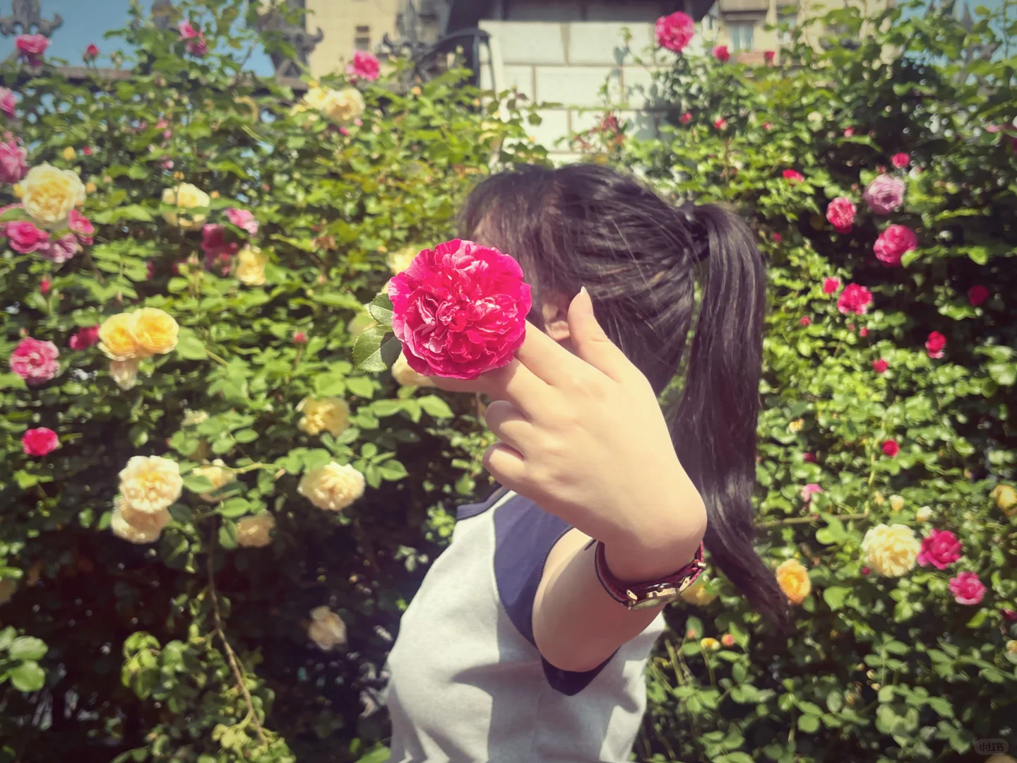 女高｜当体育课偷懒的学姐回初中看老师