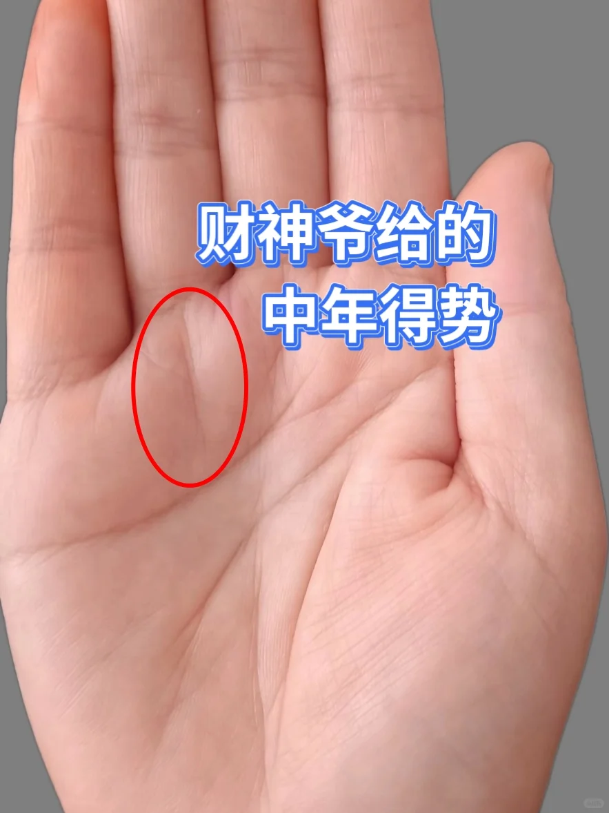 中年起女人当家