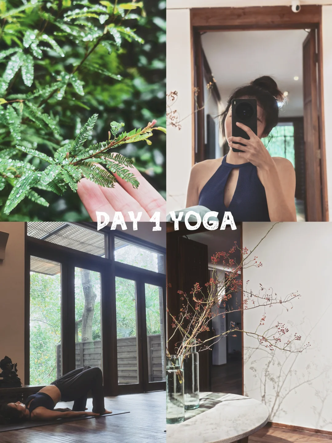 瑜伽日记 | Day 4🌱