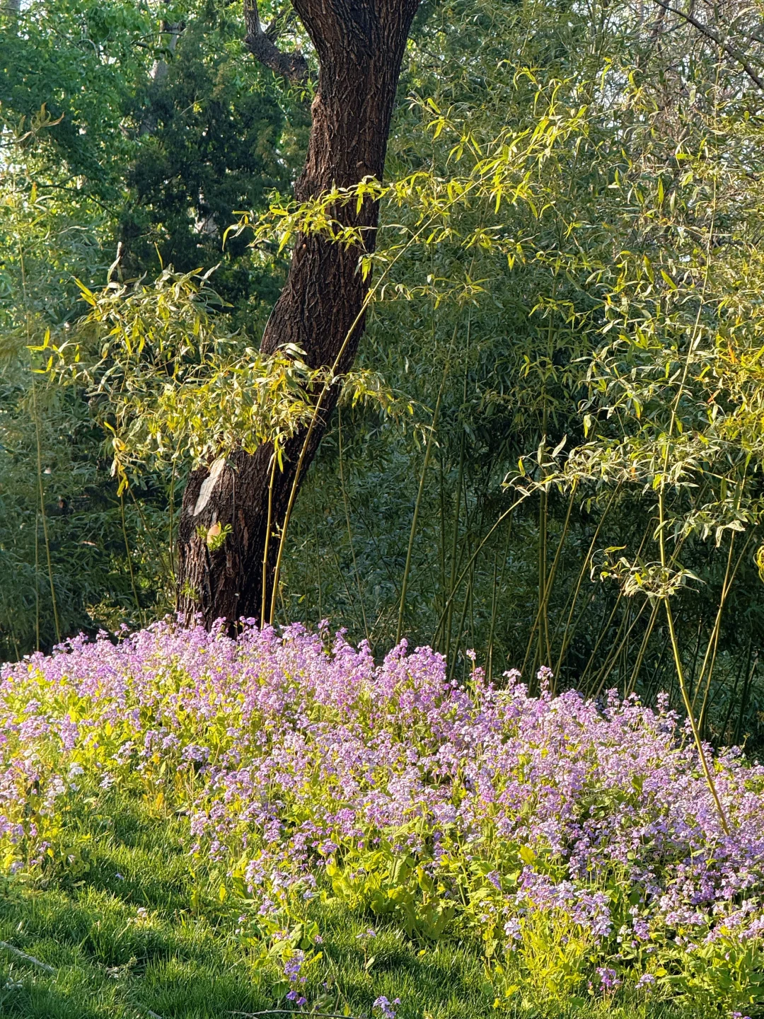 北舞大三｜🧩｜偶尔e小mo😔常常大happy😄