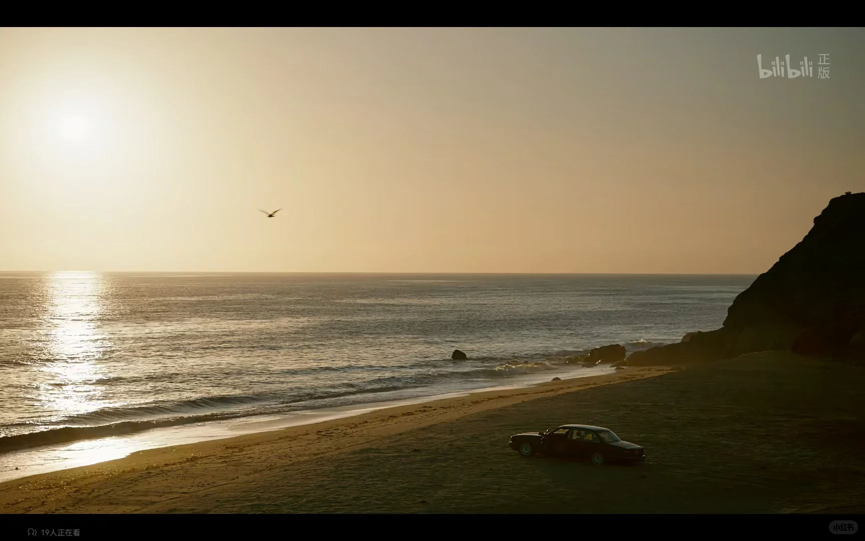 华仔到底做错了什么😭