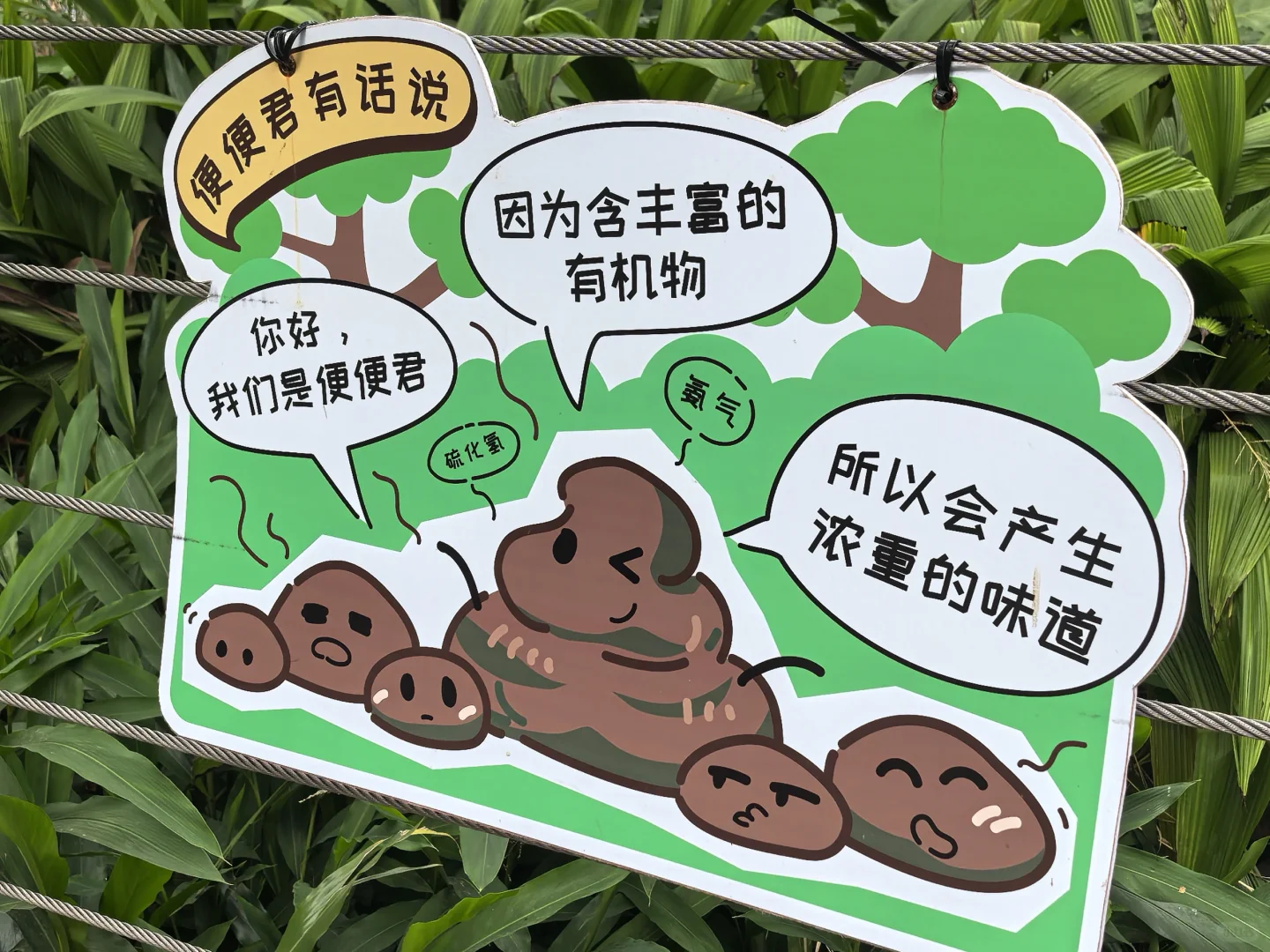 广州动物园，20元永远的性价比