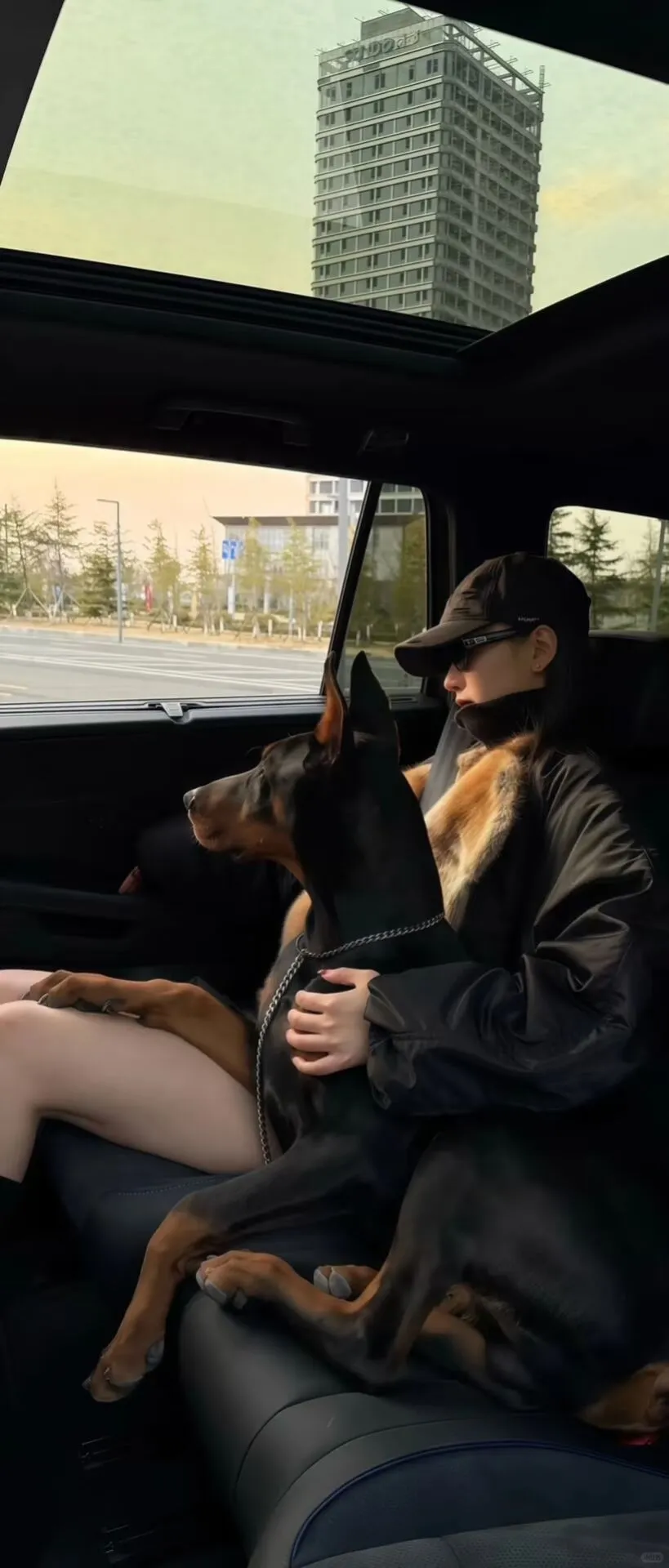 𝑾𝒆𝑪𝒉𝒂𝒕｜ins风简约壁纸