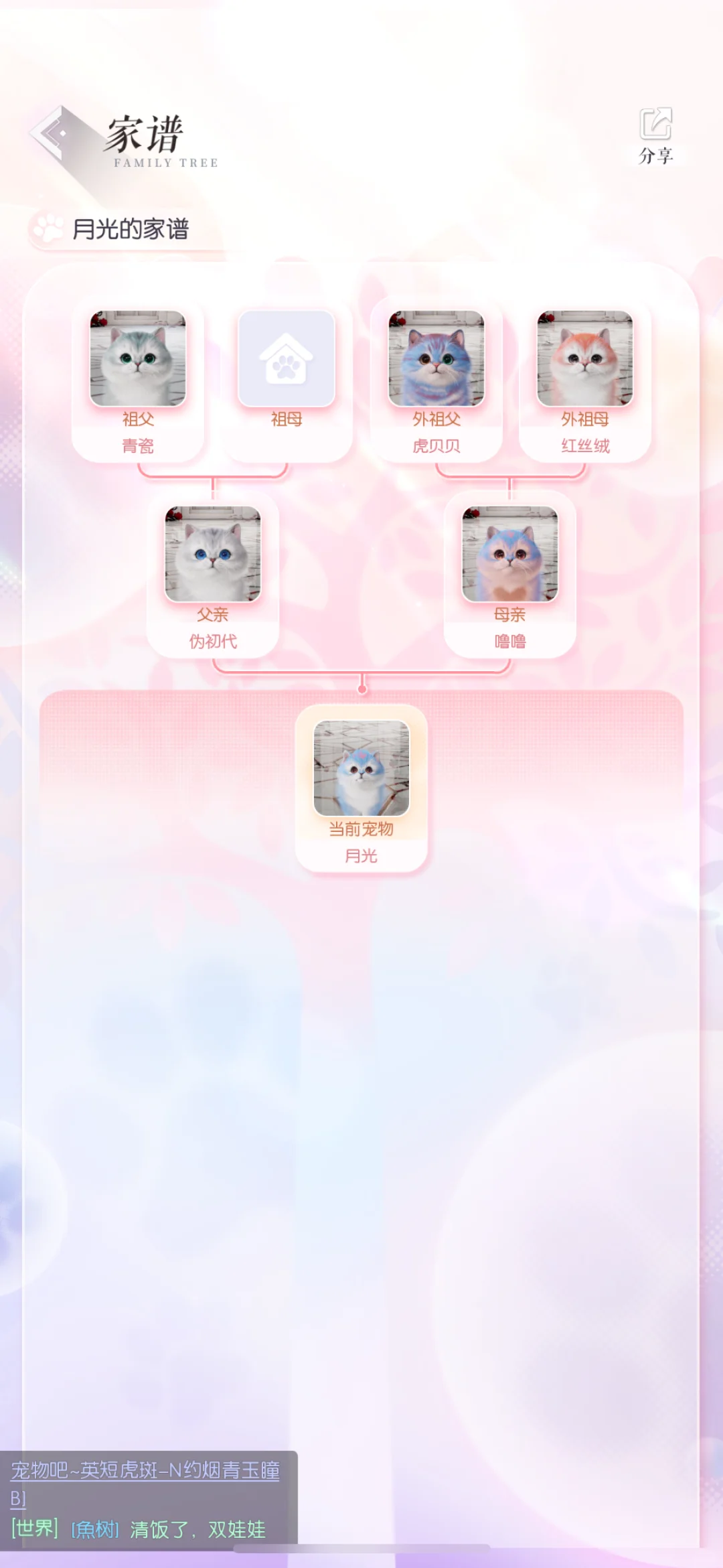 终于有月光啦！