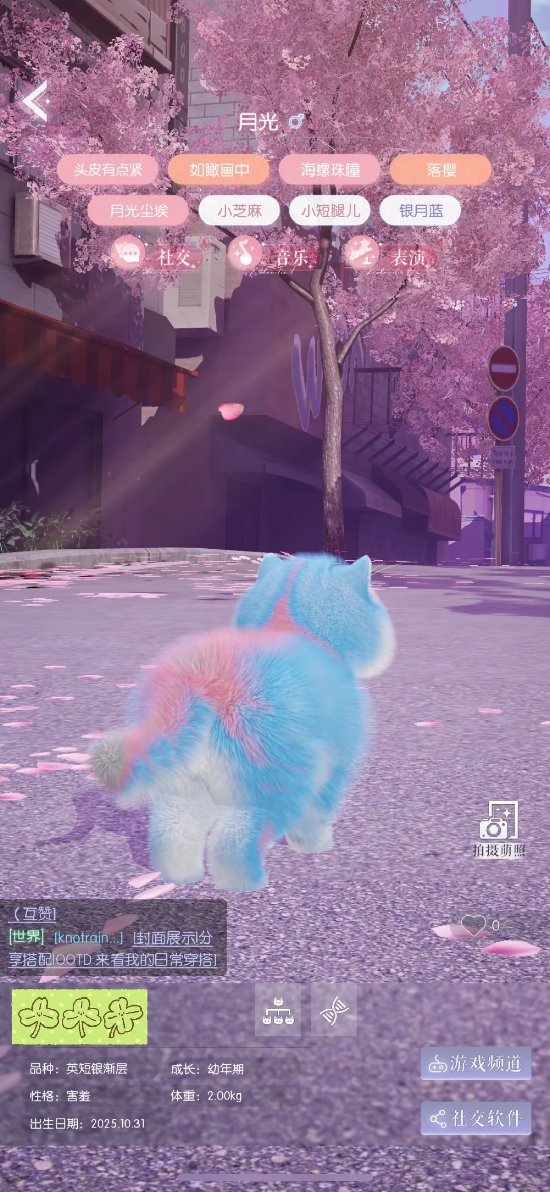 终于有月光啦！