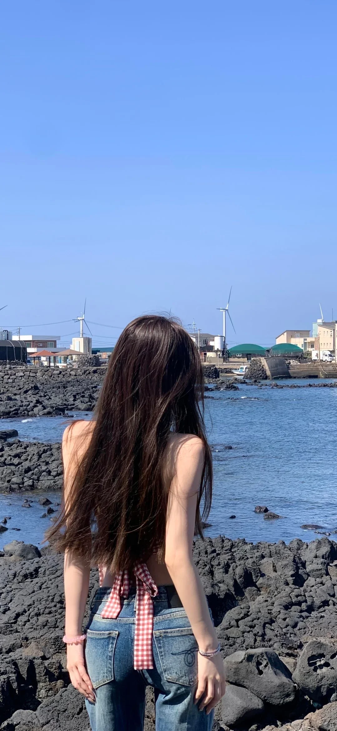 壁纸｜明媚自由系列