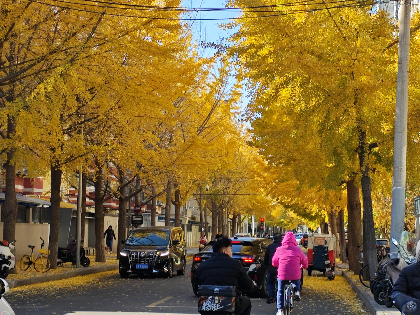 在小西天看新龙门客栈