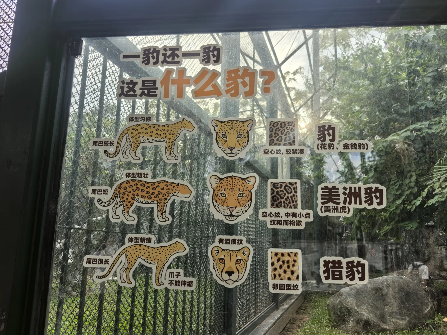 广州动物园，20元永远的性价比