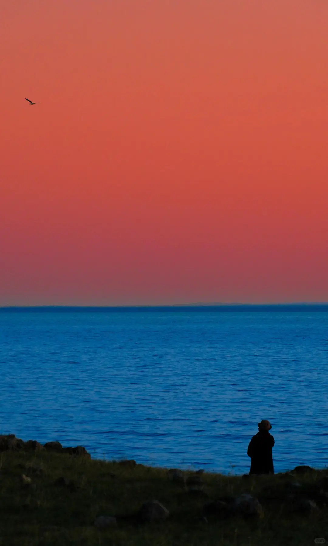 分享一组超治愈系风景壁纸！