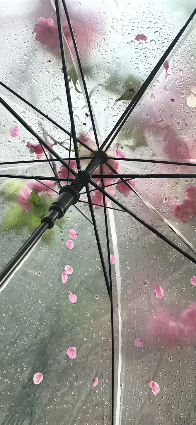 𝘄𝗮𝗹𝗹𝗽𝗮𝗽𝗲𝗿