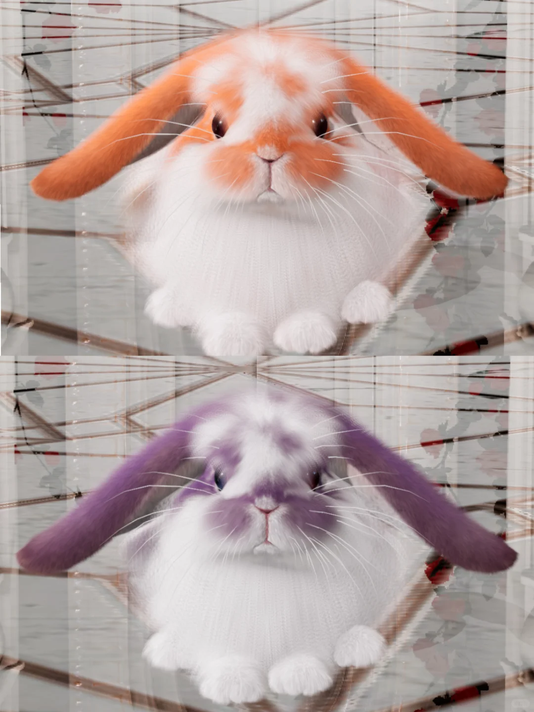 开脸非常萌的两只～