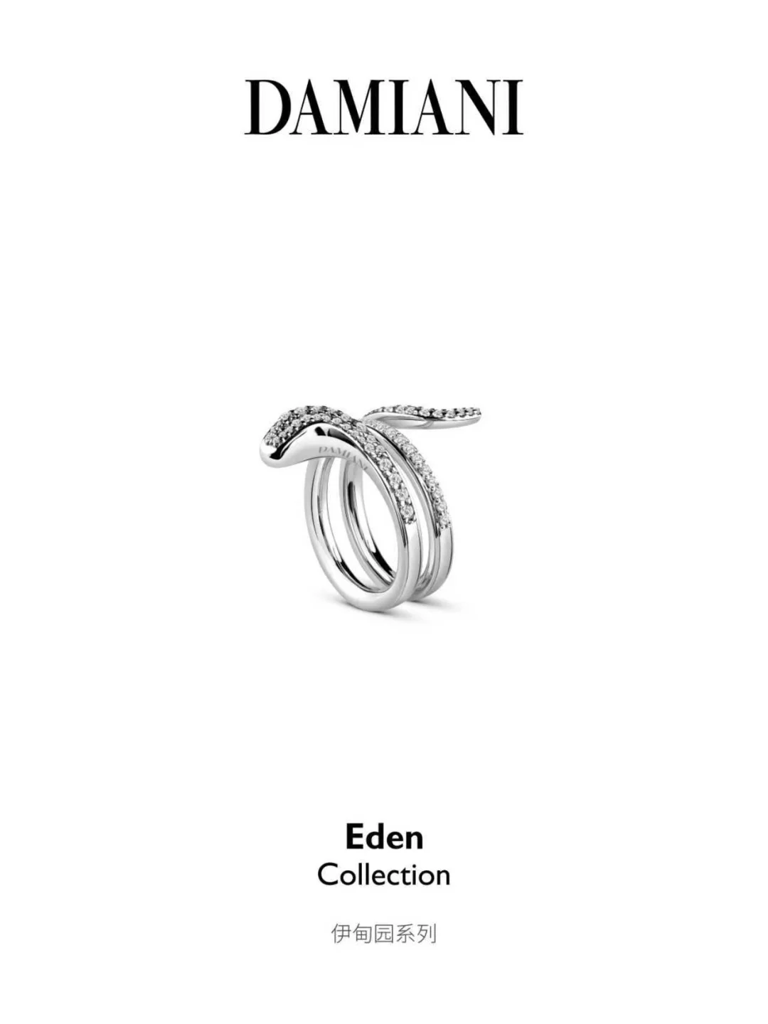 张淼怡 | 熠动灵蛇魅力