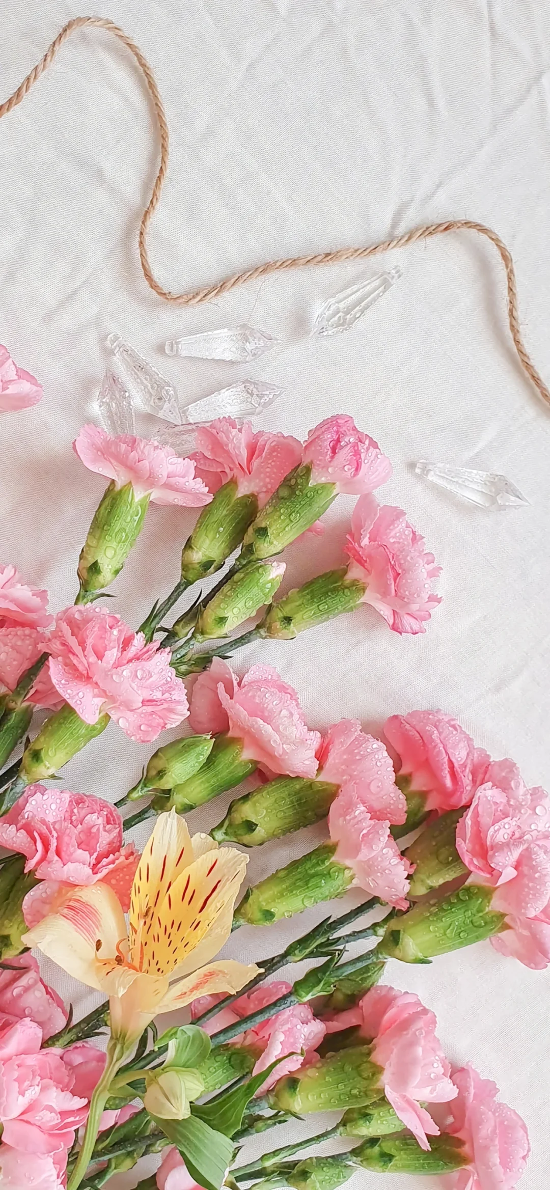 治愈系壁纸｜随风舞动，向阳而生