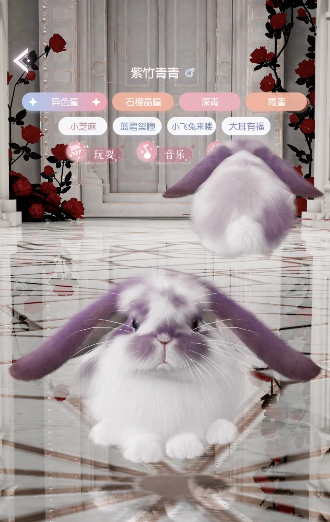 开脸非常萌的两只～