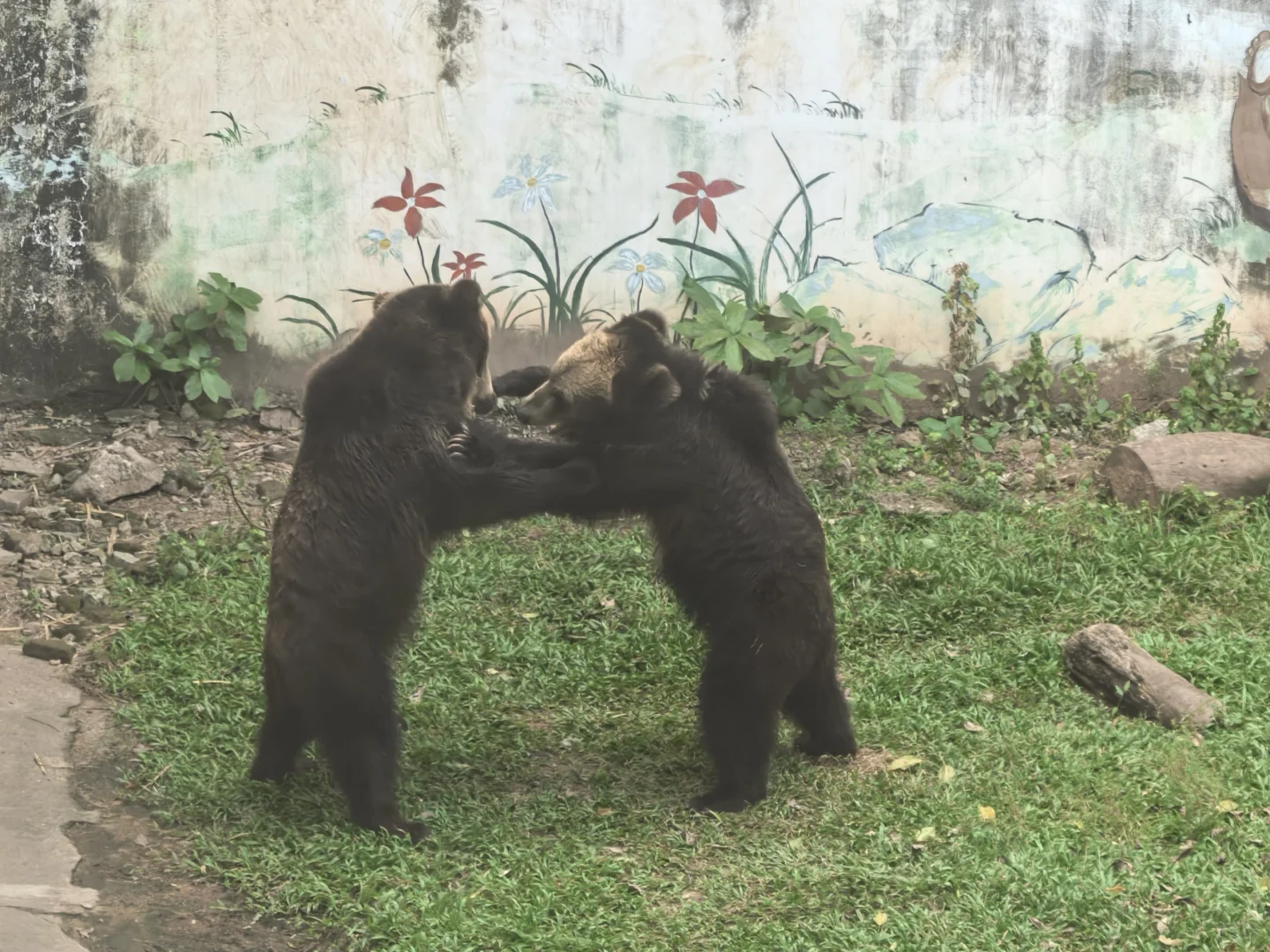 广州动物园，20元永远的性价比