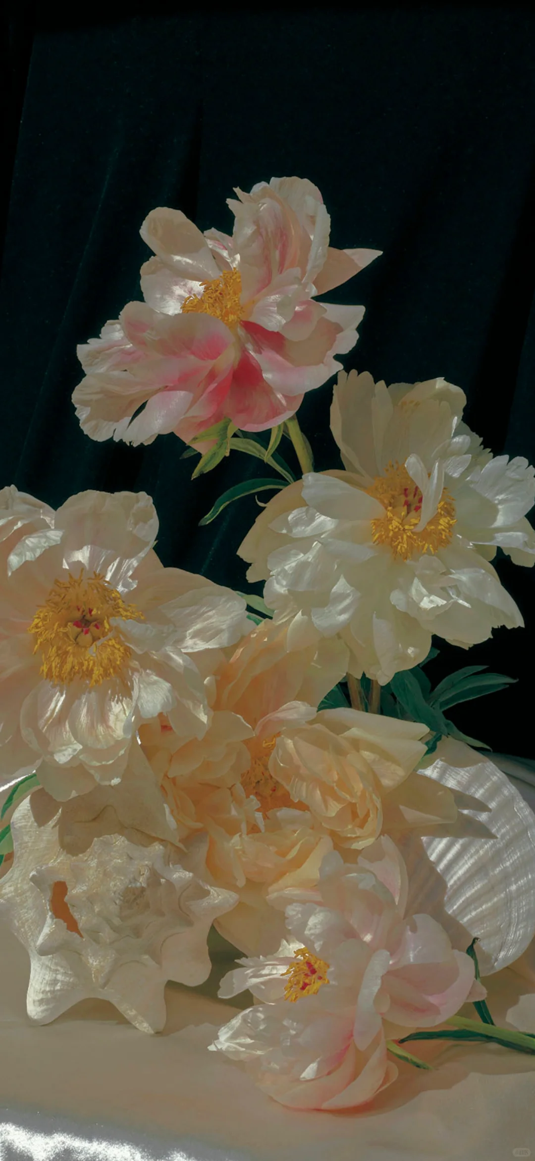 治愈系壁纸｜随风舞动，向阳而生