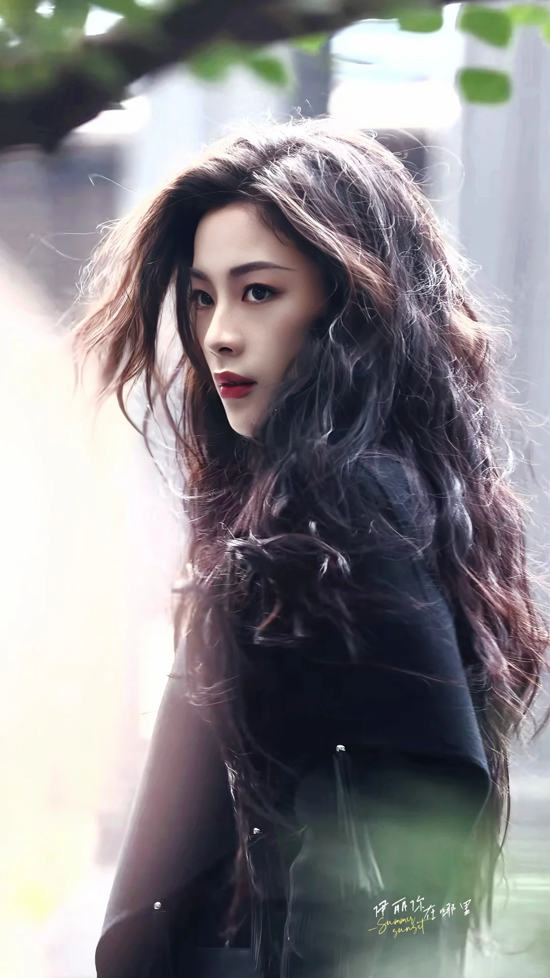 陈丽君截修｜大概就是每一帧都是壁纸的程度