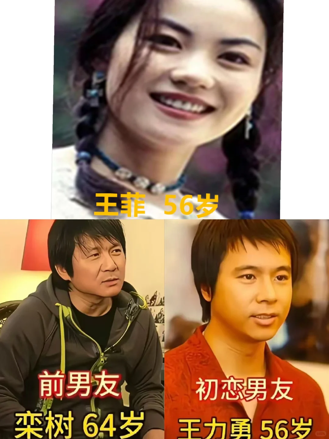王菲的恋爱史，简直是一部男神收割图鉴！