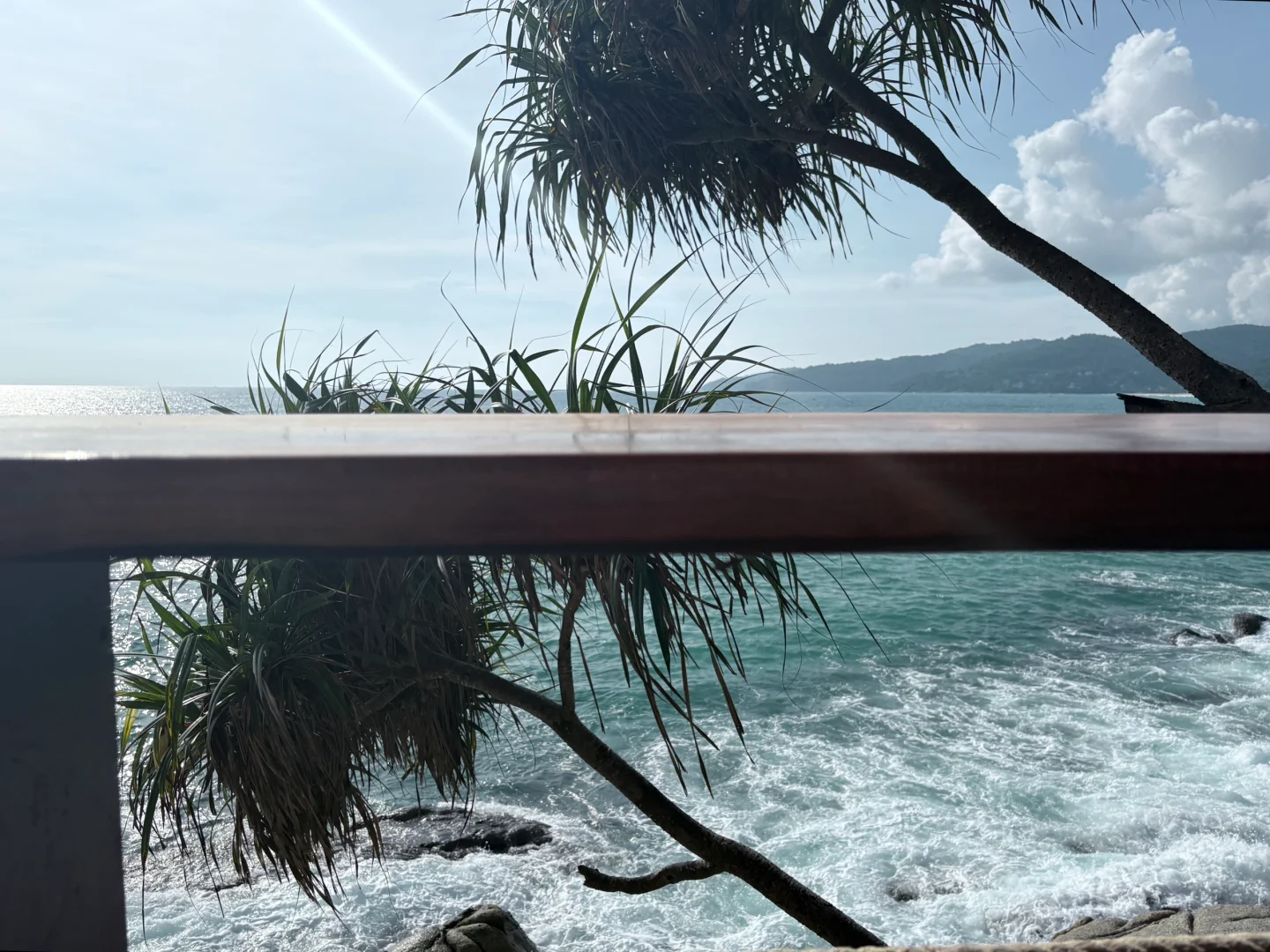 蛋黄的长裙 美丽的盛夏