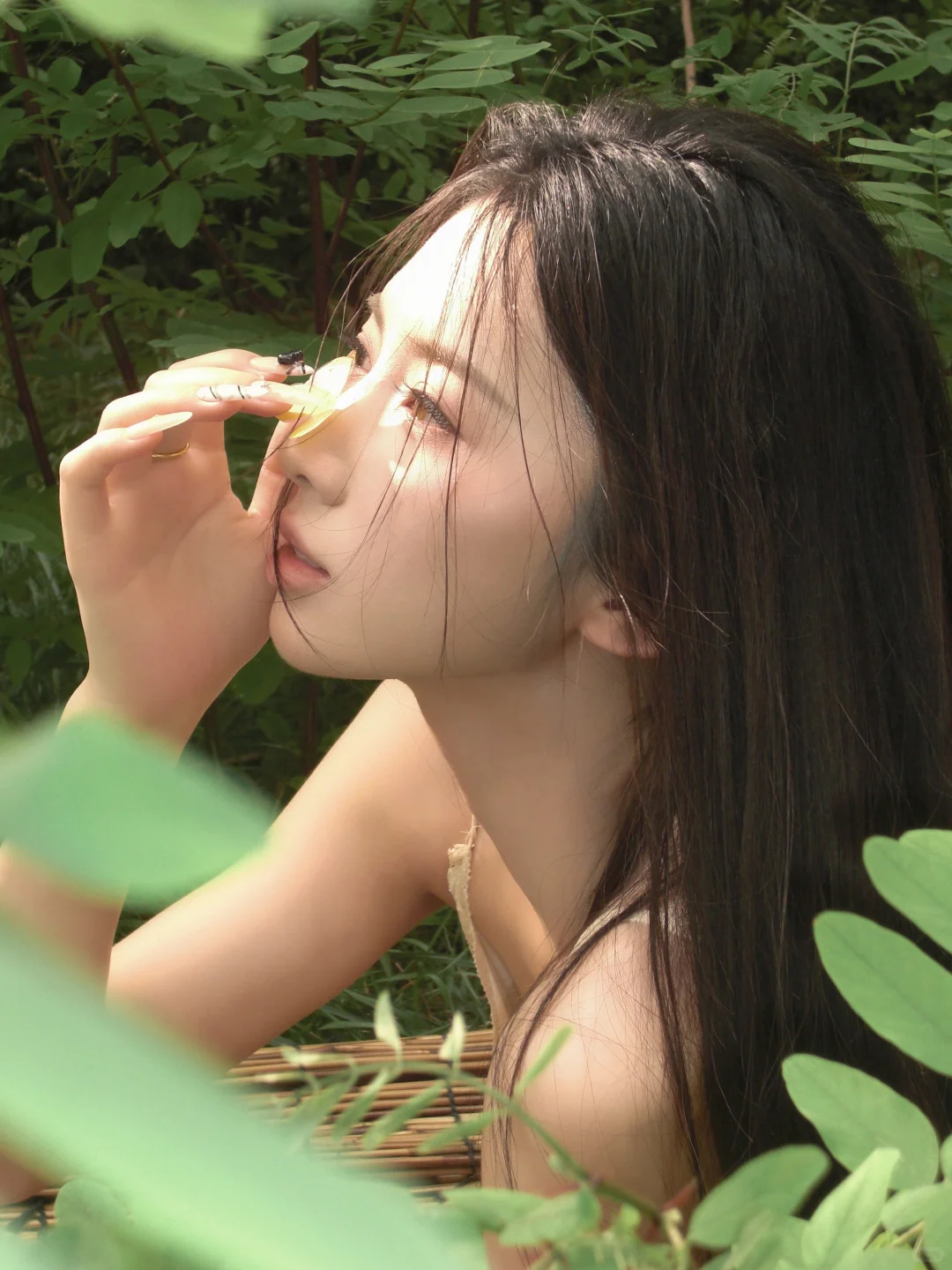 忽而今夏，生命如茧