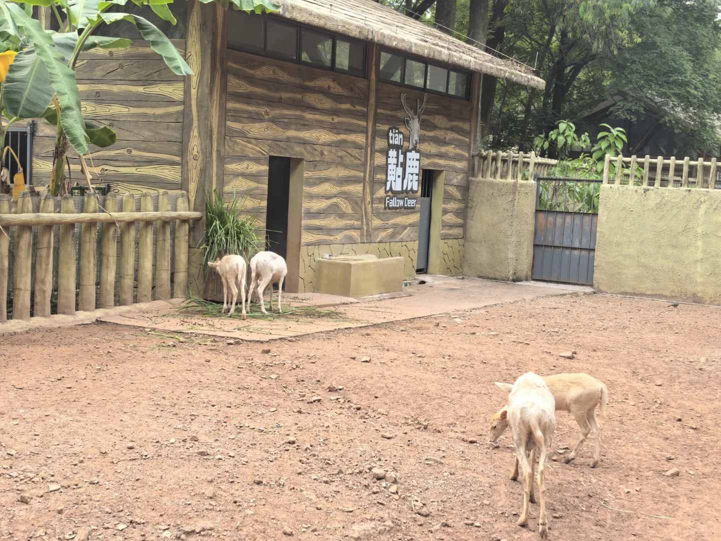 广州动物园，20元永远的性价比