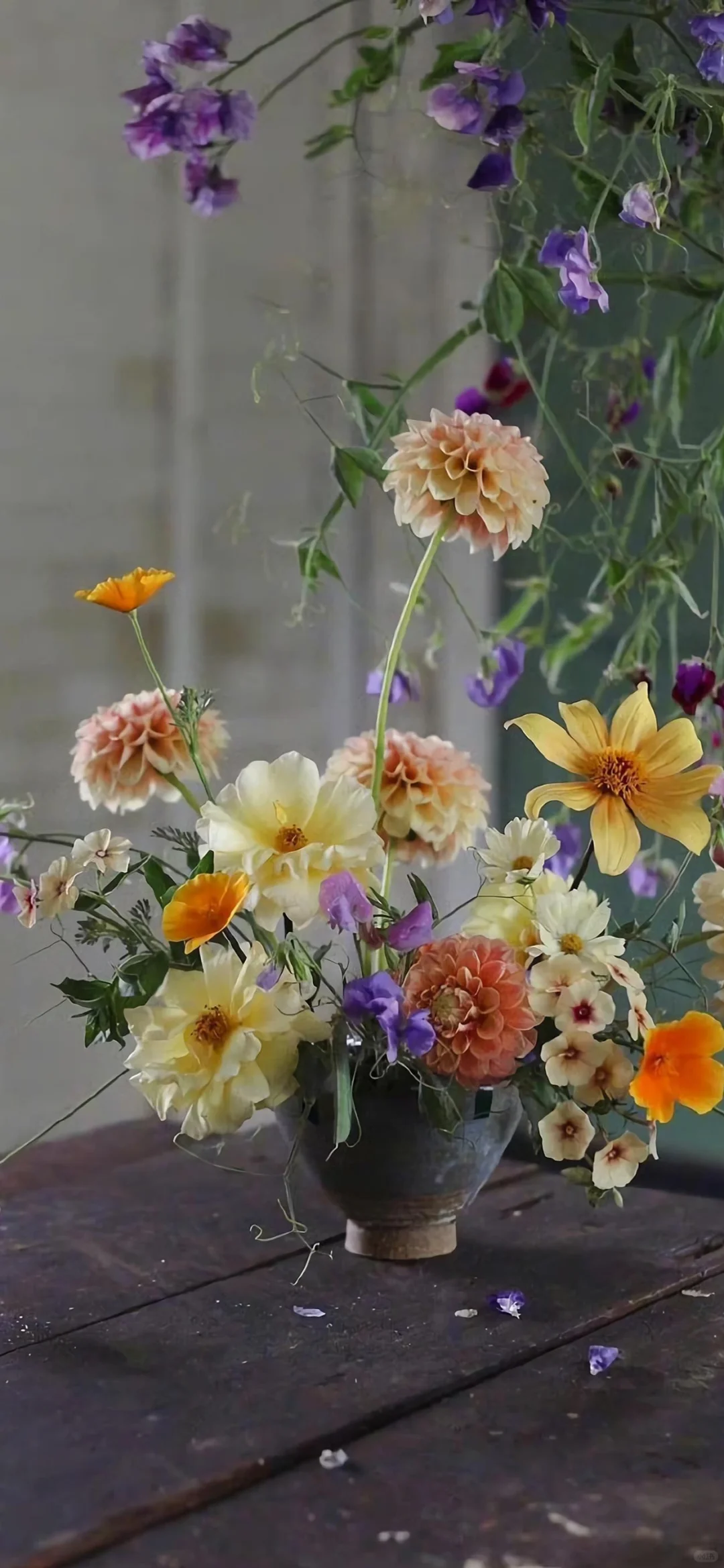 治愈系壁纸｜随风舞动，向阳而生