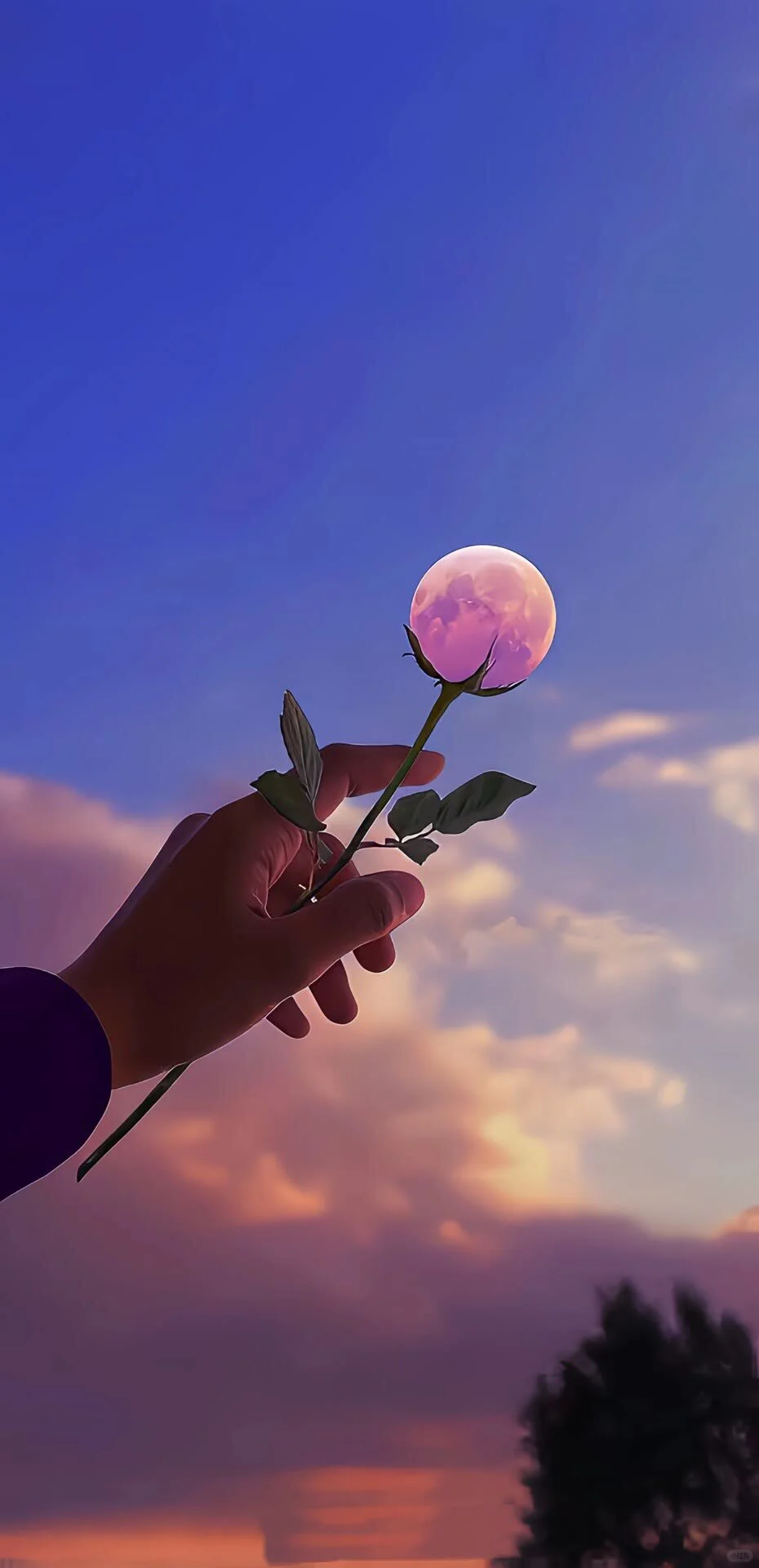 少言不生闲气特别素雅的聊天壁纸～