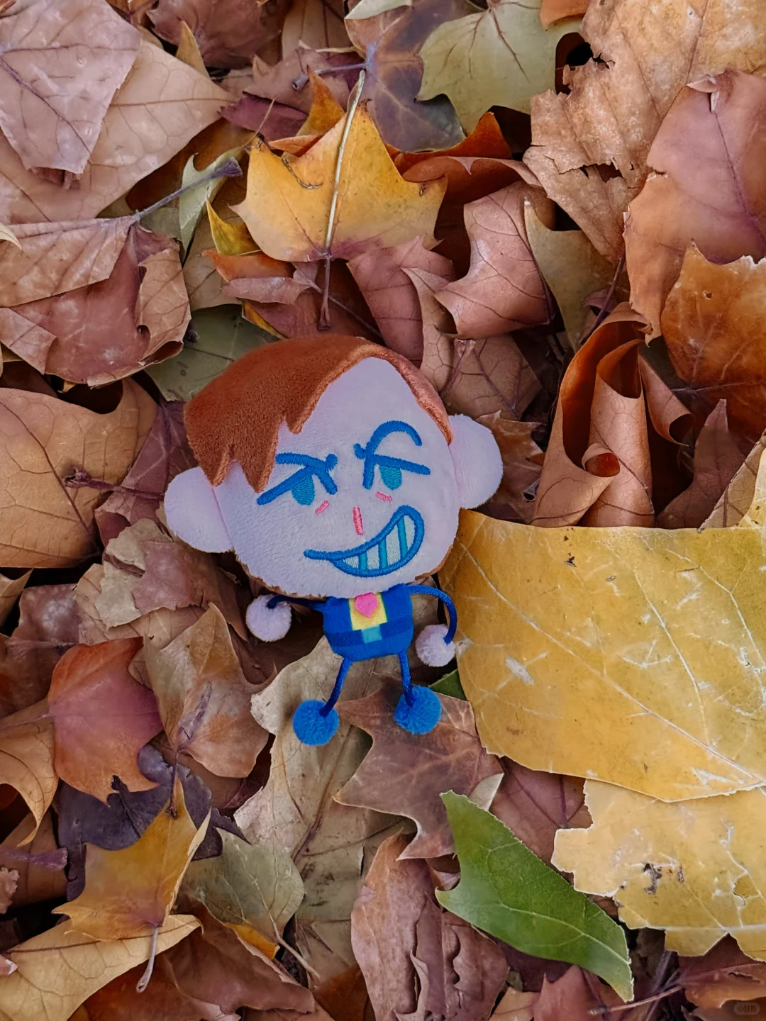 这个好男人也太萌了