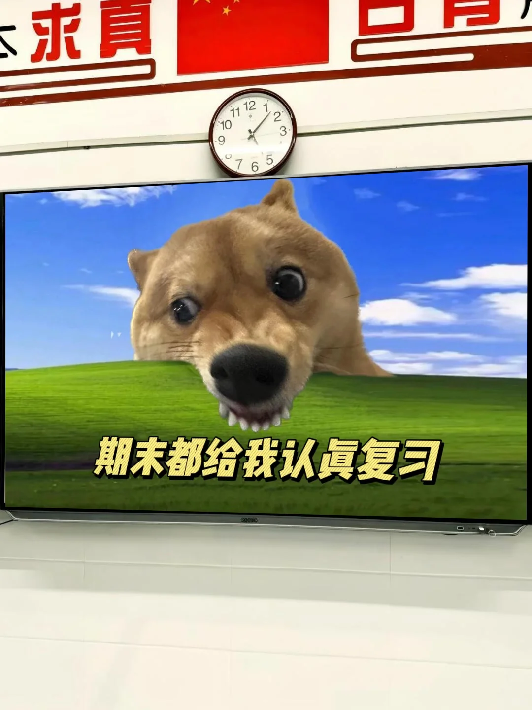 班级教室壁纸一天一换，学生主动学习👍